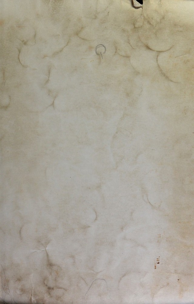 digitised image 1