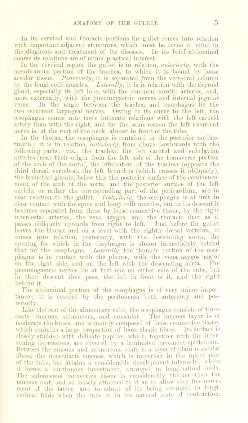 111 its cervical and thoracic portions the gullet comes into relation with important adjacent structures, which must he borne in mind in the diagnosis and treatment of its diseases. In its brief abdominal course its relations are of minor j)iactical interest. In the cervical region the gnllet is in relation, anteriorly, with the membranous portion of the trachea, to which it is bound by loose areolar tissue. Posteriorly, it is sepaiated from the vertebral column by the longi colli muscles. Laterally, it is in relation with the thyroid gland, esj)ecially its left lobe, with the common carotid arteries, and, more externally, with the pneumogastric nerves and internal jugular veins. In the angle between the trachea and cesophagus lie the two recurrent laryngeal nerves. Owing to its curve to the left, the cesophagns comes into more intimate relations with the left carotid arteiy than with the right, and for the same reason the left recurrent nerve is, at the root of the neck, almost in front of the tube. In the thorax, the cesophagus is contained in the posterior medias- tinum ; it is in relation, anteriorly, from above downwards wdth the following parts; viz., the trachea, the left carotid and subclavian arteries (near their origin from the left side of the transverse portion of the arch of the aorta), the bifurcation of the trachea (opposite the third dorsal vertebra), the left bronchus (which crosses it obli([uely), the bronchial glands; below this the posterior surface of the commence- ment of the arch of the aorta, and the posterior surface of the left auricle, or rather the corresponding part of the pericardium, are in near relation to the gullet. Posteriorly, the cesophagus is at first in close contact with thes])ine and longi colli muscles, but in its descent it becomes separated from these by loose connective tissue, by the right intercostal arteries, the vena azygos, and the thoracic duct as it passes obliipiely ui)wards from right to left. Just before the gullet leaves the thorax and on a level with the eighth dorsal vertebra, it comes into relation, posteriorly, with the descending aorta, the opening for which in the diajjhragm is almost immediately behind that for the cesophagns. Ijiteralhy, the thoracic i)ortion of the ceso- ])hagus is in contact with the idenra;, with the vena azygos major on the right .side, and on the left with the de.scending aorta. The pneumogastric nerves lie at fir.st one on either side of the tube, but in their descent they jiass, the left in front of it, and the right behind it. The abdominal portion of the cesophagus is of very minor imj)or- tauce; it is covere<l by the peritoneum both anteriorly and pos- teriorly. Like the re.st of the alimentary tube, the cesojihagus consists of three coats—mucous, submucous, and muscular. The mucous layer is ol mcMlerate thickne.ss, and is mainly composed of loose connective tissue, which contains a large ])roj)ortion of loose elastic fibres. Its surface is closely studded with delicate jiapilhe, which, together with the inter- vening depressions, arc covered by a laminated pavement-e]iithelium. Between the mucous and submucous coats is a layer of ))lain miiscidai' fibres, the mu.scularis mucosa-., which is im]>erfect in the, u]iper ]'ai't of the tube, but attains a considerable development iid'eriorly, where it forms a continuous investment, arrange<l in longitudinal lolds. The .submucous connective ti.ssue is considerably thiekei- than the mucous coat, and so loosely athiehed to it as to allow very Iree move- ment of the latter, and to admit of its being arranged in longi- tudinal fohls when the tube is in its natural stati; of eontraction.
