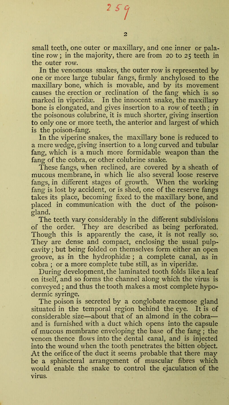 small teeth, one outer or maxillary, and one inner or pala- tine row; in the majority, there are from 20 to 25 teeth in the outer row. In the venomous snakes, the outer row is represented by one or more large tubular fangs, firmly anchylosed to the maxillary bone, which is movable, and by its movement causes the erection or reclination of the fang which is so marked in viperidae. In the innocent snake, the maxillary bone is elongated, and gives insertion to a row of teeth ; in the poisonous colubrine, it is much shorter, giving insertion to only one or more teeth, the anterior and largest of which is the poison-fang. In the viperine snakes, the maxillary bone is reduced to a mere wedge, giving insertion to a long curved and tubular fang, which is a much more formidable weapon than the fang of the cobra, or other colubrine snake. These fangs, when reclined, are covered by a sheath of mucous membrane, in which lie also several loose reserve fangs, in different stages of growth. When the working fang is lost by accident, or is shed, one of the reserve fangs takes its place, becoming fixed to the maxillary bone, and placed in communication with the duct of the poison- gland. The teeth vary considerably in the different subdivisions of the order. They are described as being perforated. Though this is apparently the case, it is not really so. They are dense and compact, enclosing the usual pulp- cavity ; but being folded on themselves form either an open groove, as in the hydrophidae ; a complete canal, as in cobra ; or a more complete tube still, as in viperidae. During development, the laminated tooth folds like a leaf on itself, and so forms the channel along which the virus is conveyed ; and thus the tooth makes a most complete hypo- dermic syringe. The poison is secreted by a conglobate racemose gland situated in the temporal region behind the eye. It is of considerable size—about that of an almond in the cobra— and is furnished with a duct which opens into the capsule of mucous membrane enveloping the base of the fang ; the venom thence flows into the dental canal, and is injected into the wound when the tooth penetrates the bitten object. At the orifice of the duct it seems probable that there may be a sphincteral arrangement of muscular fibres which would enable the snake to control the ejaculation of the virus.