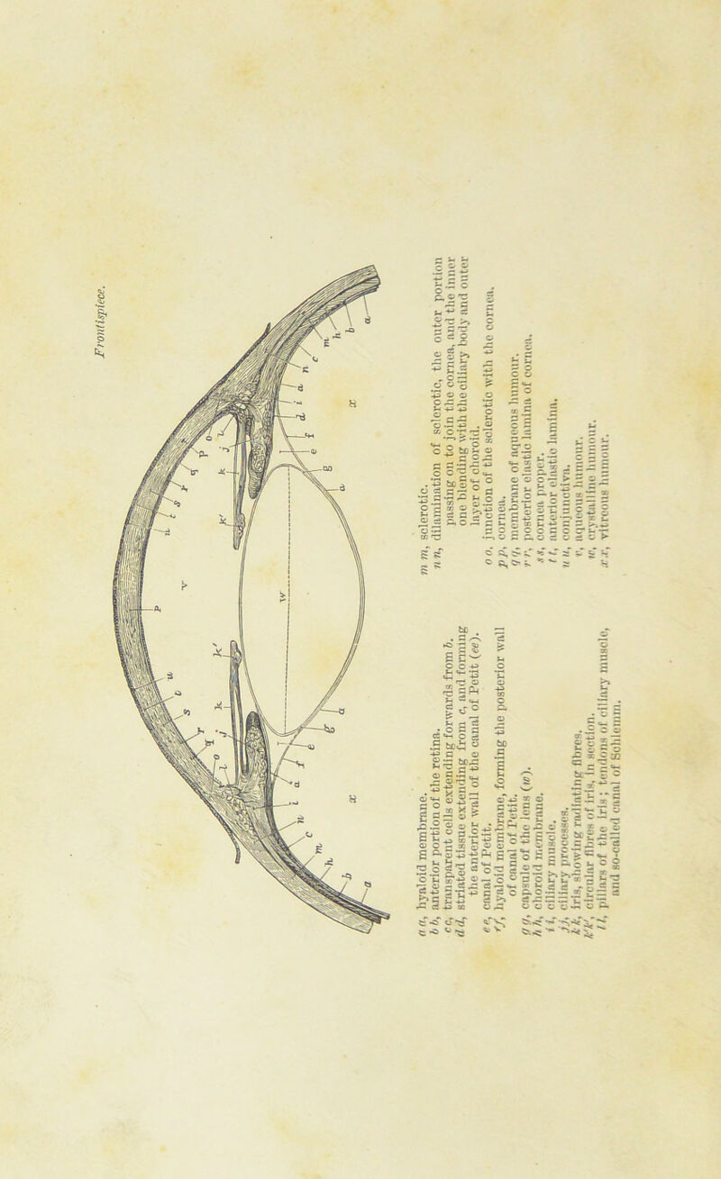 Frontispiece. ci **-* Lj - .5 Mi u c a M il C 43 e c-s =- d — o — o -* 33 X i g ga <■> - P C3 <?■> *-< c -e u S.2 — C ^ i rr. -P o op ® 3 o * c C.?-Sp, < ©~ -o * 6 e! i c-~§ *1* *- . « «2 3 ^ H « - a C — * vr © 2 Jr E6o5-epjSao£ = £i = S >5 b« g-.f a ° S b &S u 2Saoao2a®2>,a ~ .• e-^. «-.oJ5cK«a : ? c g. 2 s = .3 £ o a3 uuouio Sea's s'o; e * »-g 2 — < ^ c 5 *E 43 g : ?5 up c! P c3+s 03 O ,. aT 5 5 y C3 O fi © c O .* _ C -C <■> *55 t «C <-' *■ S ^ v •«- p* *•*