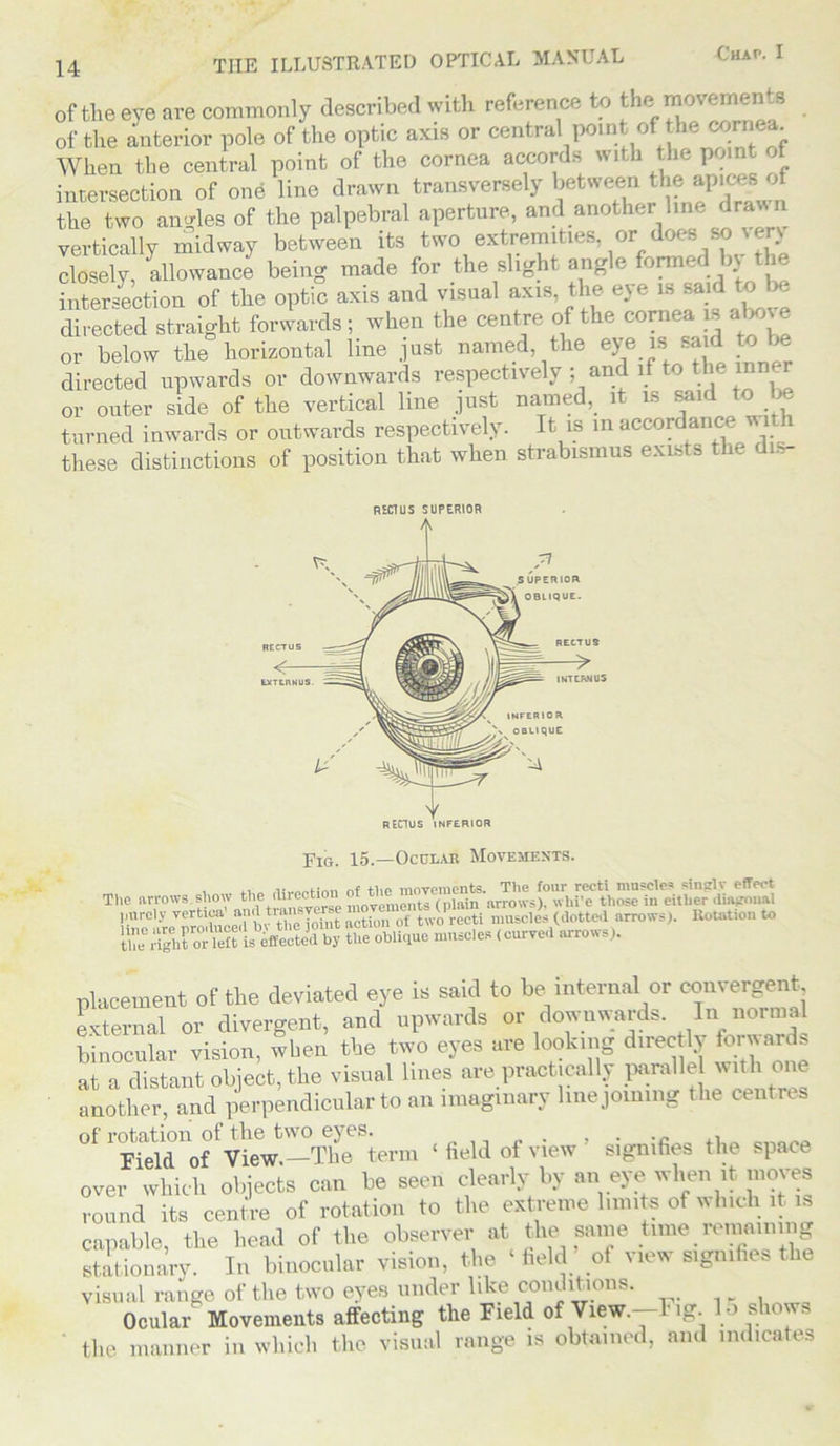 of the eye are commonly described with reference to the movements of the anterior pole of the optic axis or central point of the cornea When the central point of the cornea accords with the point of intersection of one line drawn transversely between the apices of the two angles of the palpebral aperture, and another line drawn vertically midway between its two extremities or does so % ery closely, allowance being made for the slight angle formedl b; the intersection of the optic axis and visual axis, the e>e is said to be directed straight forwards; when the centre of the cornea is aboje or below the horizontal line just named, the eye is said to be directed upwards or downwards respectively ; and if to the i or outer side of the vertical line just named, it is said to be turned inwards or outwards respectively. It is m accordance with these distinctions of position that when strabismus exists the dis- REC1US SUPERIOR Fig. 15.—Ocular Movements. , the movements. The four recti muscles singly effect The arrows show the direction (..lain arrows), whi’e those in either diagonal purely vertica' IworeSi muscles (dotted arrows,. Rotation to placement of the deviated eye is said to be internal or convergent, external or divergent, and upwards or downwards. In normal binocular vision, when the two eyes are looking directly forwards at a distant object, tlie visual lines are practically paralle with one another, and perpendicular to an imaginary line joining I he centres ol 1 Field1 of' View!—The term 1 field of view ’ signifies the space over which objects can be seen clearly by an eye when ,t moves round its centre of rotation to the extreme limits of which it is capable, the head of the observer at the same time remaining stationary. In binocular vision, the «held’ of view signifies the visual range of the two eyes under like conditions. Ocular Movements affecting the Field of View. ig. ■> su s the manner in which the visual range is obtained, and indicates