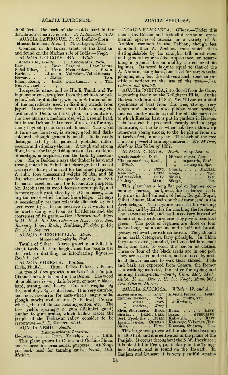 ACACIA LATRONUM. ACACIA SPECIOSA. 2000 feet. The bark of the root is used in the distillation of native spirits.—J. L. Stewart, M.D. ACACIA LATRONUM. D. C. Buffalo-thorn. Mimosa latronum, Koen. | M. coringera, Linn. Common in the barren tracts of the Dekhan, and found on the Madras side of India.— Voigt. ACACIA LEUCOPHLiEA. Willde. Acacia alba, Willde. | Mimosa alba, Roxb. Reru, Safed Kikar, Karin, . . Hewar, . . Rauni, Raunj Nimbar, Jand Beas. Hind. Jhelum. Mahr. Panj. Gargusa, . Salt Range. Katu andara, . Singh. Yel velam, Vellai tumma, Tam. Telia tumma, . , Tel. Its specific name, and its Hindi, Tamil, and Te- lugu synonyms, are given from the whitish or pale yellow colour of its bark, which, in S. India, is one of the ingredients used in distilling arrack from jagari. it extends from about Lahore along the arid tract to Dehli, and to Ceylon. In Coimbatore the tree attains a medium size, with a round head, but in the Dekhan it is never of a size fit for any- thing beyond posts to small houses. The wood it furnishes, however, is strong, good, and dark- coloured, though generally small. It is easily distinguished by its panicled globular inflor- escence and stipulary thorns. A tough and strong fibre, in use for large fishing nets and coarse kinds of cordage, is prepared from the bark by macera- tion. Major Beddome says the timber is hard and strong, much like Babul, but closer grained and of a deeper colour; it is used for the same purposes. A cubic foot unseasoned weighs 62 lbs., and 55 lbs. when seasoned; its specific gravity is 880. It makes excellent fuel for locomotive purposes. Mr. Jacob says its wood decays more rapidly, and is more speedily attacked by the Goon insect, than any timber of which he had knowledge. He says it occasionally reaches tolerable dimensions; but even were it possible to preserve it, it would not be worth doing so, from its brittleness and the coarseness of its grain.—Dm. Cleghorn and Wight in M. E. J. R.; Dr. Gibson in Bomb. Geo. Soc. Journal; Voigt; Roxb.; Beddome, FI. Sylv. p. 48 ; Dr. J. L. Stewart. ACACIA MICROPHYLLA. Roxb. Mimosa micropkylla, Roxb. Tetulia of Silhet. A tree growing in Silhet to about twelve feet in height, and the people use its bark in distilling an intoxicating liquor.— Roxb. ii. 549. ACACIA MODESTA. Wallich. Phala, Phullah, . Hind. | Palosa, Pulasa, . Pusht. A tree of slow growth, a native of the Panjab, Cis and Trans Indus, and in the Doabs. The wood of an old tree is very dark brown, or nearly black, hard, strong, and heavy. Green it weighs 69£ lbs., and dry 53£ a cubic foot. It is very durable, and is a favourite for cart-wheels, sugar-mills, plough stocks and shares (? Bellew), Persian wheels, the mallets for cleaning cotton, etc. The tree yields sparingly a gum (Bhimbri gond) similar to gum arabic, which Bellew states the people of the Peshawar valley consider to be restorative.—J. L. Stewart, M.D. ACACIA NEMU. Smith. Mimosa arborea, Loureiro. Ho-liwan, . . . Chin. | Ye-hoh Chin. This plant grows in China and Cochin-China, and is used for ornamental purposes. At Ning- po, bark used for tanning sails.—Smith, Mat. Medico. ACACIA RAMKANTA. Gibson.—Under this name Drs. Gibson and Riddell describe an orna- mental species of Acacia, or a variety of A. Arabica, common in the Deklian, though less abundant than A. Arabica, from which it is distinguishable by its straight, tall, erect stem and general cypress-like appearance, or resem- bling a gigantic broom, and by the colour of its legumes. Its wood is quite equal to that of the A. Arabica, being hard, and used for cart-wheels, ploughs, etc.; but the natives attach some super- stitious notions to the use of the tree.—Drs. Gibson and Riddell. ACACIA ROBUSTA, introduced from the Cape, is growing freely on the Neilgherry Hills. At the Madras Exhibition of 1857, Mr. M‘Ivor exhibited specimens of bast from this tree, strong, very tough and durable, also pliable when wetted, and constantly made use of for all the purposes to which Russian bast is put in gardens in Europe. This bast can be procured cheaply and in large quantities, as the trees when cut down throw up numerous young shoots, to the height of from six to twelve feet, in one year. The bark of the tree is also a powerful tanning material.—Mr. MlIvor, Madras Exhibition o/'1857. ACACIA RUGATA. Buch. Soap Acacia. Acacia concinna, D. C. Mimosa concinna, Roxb., Willde. Kochai Beng. Ken-bwon, . . . Burm. Fei tsau-kiah, . . Chin. Chi-kaya, . . . Mahr. Mimosa rugata, Lam. „ saponaria, Roxb. „ abstergens, Spr. Chinik, . . . Maleal. Go-go, .... Tag. Shikai Tam. Sikaya, .... Tel. This plant has a long flat pod or legume, con- taining separate, small, oval, dark-coloured seeds. It grows in the Peninsula of India, Bengal, Nepal, Silhet, Assam, Moulmein on the Ataran, and in the Archipelago. The legumes are used for washing the hair, and by Hindus for marking the forehead. The leaves are acid, and used in cookery instead of tamarind, and with turmeric they give a beautiful green. The pods or legumes are three or four inches long, and about one and a half inch broad, greasy, yellowish, or reddish brown. They abound in an acrid, detergent, fatty principle. In China they are roasted, pounded, and kneaded into small balls, and used to wash the person or clothes. Three or four of the black seeds are in one pod. They are roasted and eaten, and are used by arti- ficial flower makers to wax their thread. Pods and bark are exported from Canara, the former as a washing material, the latter for dyeing and tanning fishing-nets.—Smith, Chin. Mat. Med.; Elliot, F. A.; Drury, U. P.; Voigt; Roxb. 565; Drs. Gibson, Mason. ACACIA SPECIOSA. Willde; W. and A. Acacia sirissa, . . Ruck. Mimosa flexuosa,. Rottl. ,, sirissa, . Roxb. ,, speciosa,. Jacq. Sirin, Skurungru, Beas. Sirisha, . . Beng., Uria. Seet, Tseek-tlia, . Burm. Lasrin, lasrian, Chenab. Siriss, .... Hind. Albizzia lebbek, . Benth. „ mollis, var. Julibrissia, . . ,, Buna, .... Hind. Sarin,. . . Jubbulpur. Kali-sirin, . . . Ravi. Katu vage, Vel vangai, Tam. Dirasana, Sinduva, Tel. This large tree grows wild in the Himalayas up to 5000 feet, and it is cultivated in the plains of the Pan jab. It occurs throughout the N. W. Provinces; it is plentiful in Pegu, particularly in the Toung- hoo district, and is found on the Irawadi. In Ganjam and Gurnsur it is very plentiful, attains