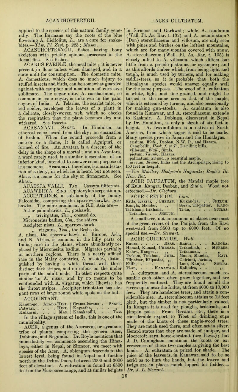 AC ANTHOPTE R Y GIL ACER CULTRATUM. applied to the species of this natural family gene- rally. The Burmans say the roots of the blue flowering A. ilicifolius, L., are a cure for snake- bites.—Thw. PI. Zeyl. p. 223 ; Mason. ACANTHOPTERYGII, fishes having bony skeletons with prickly spinous processes in the dorsal fins. See Fishes. ACARUS FARINA1, the meal mite ; it is never present ,in flour unless when damaged, and in a state unfit for consumption. The domestic mite, A. domesticus, which does so much injury to stuffed insects and birds, can be somewhat guarded against with camphor and a solution of corrosive sublimate. The sugar mite, A. saccharinum, so common in cane sugar, is unknown in the palm sugars of India. A. Telarius, the scarlet mite, or red spider, envelopes the leaves of a plant in a delicate, closely-woven web, which so checks the respiration that the plant becomes dry and withered. See Insects. ACASANAVI. Sansk. In Hinduism, an ethereal voice heard from the sky ; an emanation of Brahrn. When the sound proceeds from a meteor or a flame, it is called Agnipuri, or formed of fire. An Avatara is a descent of the deity in the shape of a mortal; and an Avantara, a word rarely used, is a similar iucarnation of an inferior kind, intended to answer some purpose of less moment. Acasanavi, therefore, is a manifesta- tion of a deity, in which he is heard but not seen. Akasa is a name for the sky or firmament. See Akasa. ACATSJA VALET. Tam. Cassyta filiformis. ACAWERYA. Sing. Ophioxylon serpentinum. ACCIPITRINiE, a sub-family of the family Falconidse, comprising the sparrow-hawks, gos- hawks. The more prominent in S.E. Asia are— Astur palumbarius, L., goshawk. ,, trivirgatus, Tern., crested do. Micronesius badius, Gm., the shikra. Accipiter nisus, A., sparrow-hawk. ,, virgatus, Tem., the Besha do. A. nisus, the sparrow-hawk of Europe, Asia, and N. Africa, is common in the hilly parts of India; rare in the plains, where abundantly re- placed by Micronesius badius. Migrates partially in northern regions. There is a nearly affined race in the Malay countries, A. nisoides, distin- guished by having a white throat with three distinct dark stripes, and no rufous on the under parts of the adult male. In other respects quite similar ‘to A. nisus, and by no means to be confounded with A. virgatus, which likewise has the throat stripes. Accipiter trinotatus has ele- gant rows of large round white spots on the tail. ACCOUNTANT. Kanun-go, Patwari, . Kulkarni, Arabo-Hind. . . . Hind. . . . Mar. Grama-karana, . Sansk. Kayastha, . . . „ Kanakapilli, . . Tam. In the village system of India, this is one of the municipality. ACER, a genus of the Aceracese, or sycamore tribe of plants, comprising the genera Acer, Dobinsea, and Negundo. Dr. Royle mentions that immediately we commence ascending the Hima- laya, either in Nepal, or Sirmoor, we meet with species of the Acer. A. oblongum descends to the lowest level, being found in Nepal and further north in the Dehra Doon, between 2000 and 3000 feet of elevation. A. cultratum is found at 6500 feet on the Mussooree range, and at similar heights in Sirmoor and Garliwal; while A. caudatum (Wall. PI. As. Rar. t. 132) and A. acuminatum? (Don) sterculiaceum and villosum, are only seen with pines and birches on the loftiest mountains, which are for many months covered with snow. A. sterculiaceum (Wall. PI. As. Rar. t. 105) is closely allied to A. villosum, which differs but little from a pseudo-platanus, or sycamore; and as this affords timber which, from being light and tough, is much used by turners, and for making saddle-trees, so it is probable that both the Himalayan species would answer equally well for the same purposes. The wood of A. cultratum is white, light, and fine-grained, and might be turned to the same uses as that of the maple, which is esteemed by turners, and also occasionally for making gun-stocks. A. caudatum is also found in Kunawar, and A. sterculiaceum extends to Kashmir. A. Dobinsea, discovered in Nepal by Dr. Hamilton, is only a shrub of six feet in height. A. fraxinifolium is a native of North America, from which sugar is said to be made. Many species grow in Japan and the Himalayas, caesium, Wall., Deoban, N.W. P., anil Hazara. Campbellii, Hook. f. et T., Darjiling hills, villosum, Wall., Simla, pictum, Thunb., Hazara, palmatum, Thunb., a beautiful maple, niveum, Blume, India and the Archipelago, rising to 150 feet in height. — Von Mueller; Hodgson's Nagasaki; Royle's III. Him. Bot.. ACER CAUDATUM, the Mandal maple tree of Kulu, Kangra, Deoban, and Simla. Wood not esteemed.—Dr. Cleghorn. ACER CRETICUM. Kitla, Kakrai, . Chenab. Kangla, Mandar, ,, Til khan; trikhana, Trikadna, . . JHELUM. Linn. Kukandra, . . Jheldm. Seran, Til-pattar, Kang. Ti-an, .... Sutlej. A small tree, not uncommon at places near most of the great rivers of the Panjab, from the Ravi westward from 3500 up to 6000 feet. Of no special use.—Dr. Stewart. ACER CULTRATUM. Wall. Kaura, .... Beas. Kanur, . . . Kangra. Hanzal, Kanzal, CHENAB. Trikudnah, . Murree. Kahra, Kangru, . ,, Trikannah, . ,, Trekam, Trekhan, Jhel. Manor, Mandar, Ravi. Tilpattar, Kilpattar, ,, Chirindi, Jarimu, ,, Killh, ... ,, Laur, Kanjar, Sutlej. Ti-an, . . . Kanawar. Kalindra, . . „ A. cultratum and A. sterculiaceum much re- semble gach other, often grow together, and are frequently, confused. They are found on all the rivers up to near the Indus, at from 4000 to 10,000 feet. They are handsome trees, and attain a con- siderable size. A. sterculiaceum attains to 12 feet girth, but the timber is not particularly valued. In Kangra it is used for ploughs, bedsteads, and jampan poles. From Bissahir, etc., there is a considerable export to Tibet of drinking cups made of the knots of these maple-wood trees. They are much used there, and often set in silver. Gerard states that they are made of juniper, and Moorcroft says horse-chestnut (see Pavia); but J. D. Cuningham mentions the knots or ex- crescences of these two maples as giving the best kinds. A. cultratum is prized for shade. The juice of the leaves is, in Kanawar, said to be so acrid as to hurt the hands, but the leaves and twigs are in places much lopped for fodder.— Dr. J. L. Stewart.