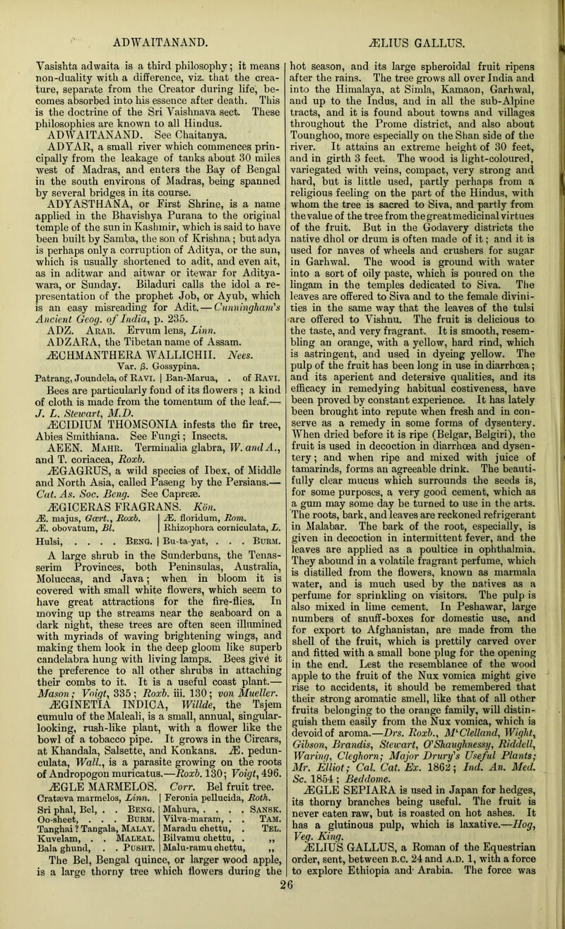 ADWAITANAND. ZELIUS GALLUS. Vasishta adwaita is a third philosophy; it means non-duality with a difference, viz. that the crea- ture, separate from the Creator during life, be- comes absorbed into his essence after death. This is the doctrine of the Sri Vaishnava sect. These philosophies are known to all Hindus. ADWAITANAND. See Ohaitanya. ADYAR, a small river which commences prin- cipally from the leakage of tanks about 30 miles west of Madras, and enters the Bay of Bengal in the south environs of Madras, being spanned by several bridges in its course. ADYASTHANA, or First Shrine, is a name applied in the Bhavishya Purana to the original temple of the sun in Kashmir, which is said to have been built by Samba, the son of Krishna; but adya is perhaps only a corruption of Aditya, or the sun, which is usually shortened to adit, and even ait, as in aditwar and aitwar or itewar for Aditya- wara, or Sunday. Biladuri calls the idol a re- presentation of the prophet Job, or Ayub, which is an easy misreading for Adit. — Cunningham's Ancient Geog. of India, p. 235. ADZ. Arab. Ervum lens, Linn. ADZARA, the Tibetan name of Assam. iECHMANTHERA WALLICHII. Nees. Var. p>. Gossypina. Patrang, Joundela, of Ravi. | Ban-Marua, . of Ravi. Bees are particularly fond of its flowers ; a kind of cloth is made from the tomentum of the leaf.— J. L. Stewart, M.D. iECIDIUM THOMSONIA infests the fir tree, Abies Smithiana. See Fungi; Insects. AEEN. Mahr. Termitiulia glabra, W.andA., and T. coriacea, Roxh. 7EGAGRUS, a wild species of Ibex, of Middle and North Asia, called Paseng by the Persians.— Cat. As. Soc. Beng. See Caprese. yEGICERAS FRAGRANS. Ron. JE. majus, Gcert., Roxb. I AS. floridum, Rom,. A5. obovatum, Til. \ Rhizopkora corniculata, L. Hulsi, .... Beng. | Bu-ta-yat, . . . Burm. A large shrub in the Sunderbuns, the Teuas- serim Provinces, both Peninsulas, Australia, Moluccas, and Java; when in bloom it is covered with small white flowers, which seem to have great attractions for the fire-flies. In moving up the streams near the seaboard on a dark night, these trees are often seen illumined with myriads of waving brightening wings, and making them look in the deep gloom like superb candelabra hung with living lamps. Bees give it the preference to all other shrubs in attaching their combs to it. It is a useful coast plant.— Mason; Voigt, 335; Roxb. iii. 130; von Mueller. iEGINETIA INDICA, Willde, the. Tsjem cumulu of the Maleali, is a small, annual, singular- looking, rush-like plant, with a flower like the bowl of a tobacco pipe. It grows in the Circars, at Khandala, Salsette, and Konkans. M. pedun- culata, Wall., is a parasite growing on the roots of Andropogon muricatus.—Roxb. 130; Voigt, 496. iEGLE MARMELOS. Cratseva marmelos, Linn. Sri phal, Bel, . . Beng. Oo-sheet, . . . Burm. Tanghai ? Tangala, Malay. Kuvelam, . . Maleal. Bala ghund, . . Pusht. Corr. Bel fruit tree. Feronia pellucida, Roth. Mahuva, .... Sansk. Vilva-maram, . . Tam. Maradu chettu, . Tel. Bilvamu chettu, . ,, Malu-ramu chettu, ,, The Bel, Bengal quince, or larger wood apple, is a large thorny tree which flowers during the hot season, and its large spheroidal fruit ripens after the rains. The tree grows all over India and into the Himalaya, at Simla, Kamaon, Garhwal, and up to the Indus, and in all the sub-Alpine tracts, and it is found about towns and villages throughout the Prome district, and also about Tounglioo, more especially on the Shan side of the river. It attains an extreme height of 30 feet, and in girth 3 feet. The wood is light-coloured, variegated with veins, compact, very strong and hard, but is little used, partly perhaps from a religious feeling on the part of the Hindus, with whom the tree is sacred to Siva, and partly from the value of the tree from the great medicinal virtues of the fruit. But in the Godavery districts the native dhol or drum is often made of it; and it is used for naves of wheels and crushers for sugar in Garhwal. The wood is ground with water into a sort of oily paste, which is poured on the lingam in the temples dedicated to Siva. The leaves are offered to Siva and to the female divini- ties in the same way that the leaves of the tulsi are offered to Vishnu. The fruit is delicious to the taste, and very fragrant. It is smooth, resem- bling an orange, with a yellow, hard rind, which is astringent, and used in dyeing yellow. The pulp of the fruit has been long in use in diarrhoea; and its aperient and detersive qualities, and its efficacy in remedying habitual costiveness, have been proved by constant experience. It has lately been brought into repute when fresh and in con- serve as a remedy in some forms of dysentery. When dried before it is ripe (Belgar, Belgiri), the fruit is used in decoction in diarrhoea and dysen- tery ; and when ripe and mixed with juice of tamarinds, forms an agreeable drink. The beauti- fully clear mucus which surrounds the seeds is, for some purposes, a very good cement, which as a gum may some day be turned to use in the arts. The roots, bark, and leaves are reckoned refrigerant in Malabar. The bark of the root, especially, is given in decoction in intermittent fever, and the leaves are applied as a poultice in ophthalmia. They abound in a volatile fragrant perfume, which is distilled from the flowers, known as marmala water, and is much used by the natives as a perfume for sprinkling on visitors. The pulp is also mixed in lime cement. In Peshawar, large numbers of snuff-boxes for domestic use, and for export to Afghanistan, are made from the shell of the fruit, which is prettily carved over and fitted with a small bone plug for the opening in the end. Lest the resemblance of the wood apple to the fruit of the Nux vomica might give rise to accidents, it should be remembered that their strong aromatic smell, like that of all other fruits belonging to the orange family, will distin- guish them easily from the Nux vomica, which is devoid of aroma.—Drs. Roxb., McClelland, Wight, Gibson, Brandis, Stewart, O'Shaughnessy, Riddell, Waring, Cleghorn; Major Drury's Useful Plants; Mr. Elliot; Cal. Cat. Ex. 1862; Ind. An. Med. Sc. 1854; Beddome. 2EGLE SEPIARA is used in Japan for hedges, its thorny branches being useful. The fruit is never eaten raw, but is roasted on hot ashes. It has a glutinous pulp, which is laxative.—Ilog, Veg. Ring. jELIUS GALLUS, a Roman of the Equestrian order, sent, between B.c. 24 and a.d. 1, with a force to explore Ethiopia and- Arabia. The force was