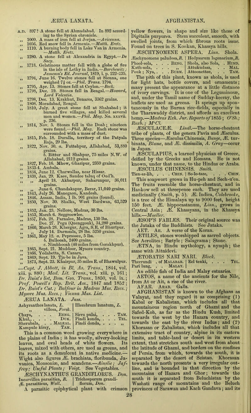 A.D. 897? A stone fell at Ahmadabad. In 892 accord- ing to the Syrian chronicle. „ 1009. A mass of iron fell at Jorjan,—Avicenna. ,, 1056. Red snow fell in Armenia.—Matth. Eretz. ,, 1110. A burning body fell in Lake Yan in Armenia. ■—Matth. Eretz. „ 1280. A stone fell at Alexandria in Egypt.—De Sacy. „ 1718. Gelatinous matter fell with a globe of fire in the isle of Lethy in India.—Barchewitz; Jameson's Ed. Journal, 1819, i. p. 222-235. ,, 1794, June 16. Twelve stones fell at Sienna, one weighed 7 $ oz.—Phil. Trans. 1794. ,, 1795, Apr. 13. Stones fell at Ceylon.—Beck. ,, 1798, Dec. 19. Stones fell in Bengal.—Howard, Lord Valentia. ,, 1798, Dec. 13. Krakhut, Benares, 3362 grains. ,, 1808. Moradabad, Bengal. ,, 1810, July. A great stone fell at Shahabad ; it burned five villages, and killed several men and women.—Phil. Map. No. xxxvii. р. 236. ,, 1814, Nov. 5. Stones fell in the Doab; nineteen were found.—Phil. Mag. Each stone was surrounded with a mass of dust. ,, 1815, Feb. 18. Duralla, territory of the Patyala Baja, 29 lbs. < ,, 1822, Nov. 30. a. Futtehpur, Allahabad, 53,880 grains. b. Bittur and Shahpur, 75 miles N.W. of Allahabad, 2112 grains. ,, 1827, Feb. 16. Mhow, Ghazipur, 2359 grains. ,, 1833-4. Ambala. ,, 1834, June 12. Charwallas, near Hissar. ,, 1838, Jan. 29. Kaee, Saudee taluq of Oud’h. ,, ,, April 18. Akbarpur, Saharunpur, 36,011 grains. ,, ,, June 6. Chandakapur, Berar, 11,040 grains. ,, 1843, July 26. Manegaon, Kandesh. ,, 1846. Assam, India, 1 lb. 901 grains (found). ,, 1850, Nov. 30. Shalka, West Bardwan, 63,529 grains. ,, 1852, Jan. 23. Nellore, Madras, 30 lbs. ,, 1853, March 6. Seggroowlee. ,, 1857, Feb. 28. Parnalee, Madras, 130 lbs. ,, ,, Dec. 27. Pegu (Quenggouk), 34,280 grains. ,, 1860, March 28. Khergur, Agra, S.E. of Bhurtpur. ,, >, July 14. Darmsala, 28 lbs. 5250 grains. ,, 1861, May 12. a. Peprassee, 5 lbs. b. Bullooah, 2400 grains. с. Nimbhooah (40 miles from Gorakhpur). ,, 1865, Sept. 21. Muddoor, Mysore country. ,, 1866. Yedabetta, S. Canara. ,, 1869, Sept. 19. Tja-be in Java. ,, 1873, Sept. 23. Kbairpur, 35 miles E. of Bhawulpur. —Capt. J. Abbott, in Bl. As. Trans., 1844, vol. xiii. p. 880 ; Mad. Lit. Trans., vol. xiii. p. 161; Dr. Buist's list, Bom. Geo. Trans., 1850, vol. ix.; Prof. Powell's Rep. Brit. Ass., 1847 and 1852 ; Dr. Buist's Cat.; Balfour in Madras Mus. Rees.; Mysore Mus. Rees.; Vienna Mus. List. rERUA LANATA. Juss. Achyranthes lanata, L. „ villosa, Forsk. Chaya, . . . Beng. Khul, Dok. Sherubala, . . Maleal. Kampule kiray, Tam. Illecebrum lanatum, L. Sirru pulai, . . . Tam. Pindi konda, . . . Tel. Pindi donda, ... ,, This is a common weed growing everywhere in the plains of India ; it has woolly, silvery-looking leaves, and oval heads of white flowers. Its leaves, mixed with others, are used as greens, and its roots as a demulcent in native medicine.— Wight also figures M. brachiata, floribunda, Ja- vanica, Monsonise, and scandens.—Ainslie; Jaf- frey; Useful Plants; Voiqt. See Vegetables. jESCHYNANTHUS GRANDIFLORUS. Don. Incarvillea parasitica, R. I Trichosporum grandi- Ji. parasiticus, Wall. | florum, Bon. A parasitic epiphytical plant with crimson yellow flowers, in shape and size like those of Digitalis purpurea. Stem succulent, smooth, with swelled joints, from which fibrous roots issue. Found on trees in S. Konkan, Khassya hills. ESCHYNOMENE ASPERA. Linn. Shola. TEschynomene paludosa,22. Phool-sola, . . . Beng. Kath-sola, ... ,, Pouk ; Nya, . . . Burm. | Hedysarum lagenarium,B. Shola, also Sola, . HlND. Attukudasa, . . Mal. Attoonettee, . . Tam. The pith of this plant, known as shola, is used for light hats, bottle covers, and ornaments; many present the appearance at a little distance of ivory carvings. It is one of the Leguminosse, and, under the Tamil name of Sudday-keeray, the leaflets are used as greens. It springs up spon- taneously in the Burma rice-fields, especially in the Tharawaddy district, and affords an excellent hemp.—Madras Exit. Jur. Reports o/'1855 ; O'Sh.; Roxb.; MlCl. A5SCULACEA5. Lindl.—The horse-chestnut tribe of plants, of the genera Pavia and AEsculus. Three species—Esculus Chinensis, Bunge, M. tur- binata, Blume, and AE. dissimilis, A. Gray—occur in Japan. AESCULAPIUS, a learned physician of Greece, deified by the Greeks and Romans. He is not known, under that name, to the Hindus or Arabs. AE SC ULUS CHINENSIS. Smith. Tien-sz-lih, . . . Chin. | So-lo-tsze, . . . Chin. This soapwort grows in Hu-peh and Sech-u’en. The fruits resemble the horse-chestnut, and in Hankow sell at threepence each. They are used medicinally (Smith, p. 5). AE. Indica, Colebrooke, is a tree of the Himalaya up to 9000 feet, height 150 feet. AH. hippocastanum, Linn., grows in Central Asia; A3. Khassyana, in the Khassya hills.—Mueller. AESOP’S FABLES. Their original source was the Jataka of the Buddhists. See Jataka. AET. Ar. A verse of the Koran. iETILES, stones worshipped as sacred objects. See Aerolites; Bsetyle; Salagrama; Stone. AETNA, in Hindu mythology, a nymph; the same with Aitnidevi. AETOBATIS NARI NARI. Block. Thei-rundi . of Malabar. I Eel tenki, . . . Tel. Pari lung, . . Malay. | An edible fish of India and Malay estuaries. AETOS, a name of the ancients for the Nile, from At or Ait, a rise of the river. AFAR. Arab. Galls. AFGHANISTAN is known to the Afghans as Valayat, and they regard it as comprising (1) Kabal or Kabalistan, which includes all that mountainous region north of Ghazni and the Safed-Koh, as far as the Hindu Kush, limited towards the west by the Hazara country, and towards the east by the river Indus; and (2) Khorasan or Zabalistan, which includes all that extensive tract of country, alpine in its eastern limits, and table-land or desert in its western extent, that stretches south and west from about the latitude of Ghazni, and borders on the confines of Persia, from which, towards the south, it is separated by the desert of Seistan. Khorasan towards the north presents a very irregular out- line, and is bounded in that direction by the mountains of Hazara and Ghor; towards the south it is separated from Beluchistan by the Washati range of mountains and the Beluch provinces of Sarawan and Kach Gandava; and its