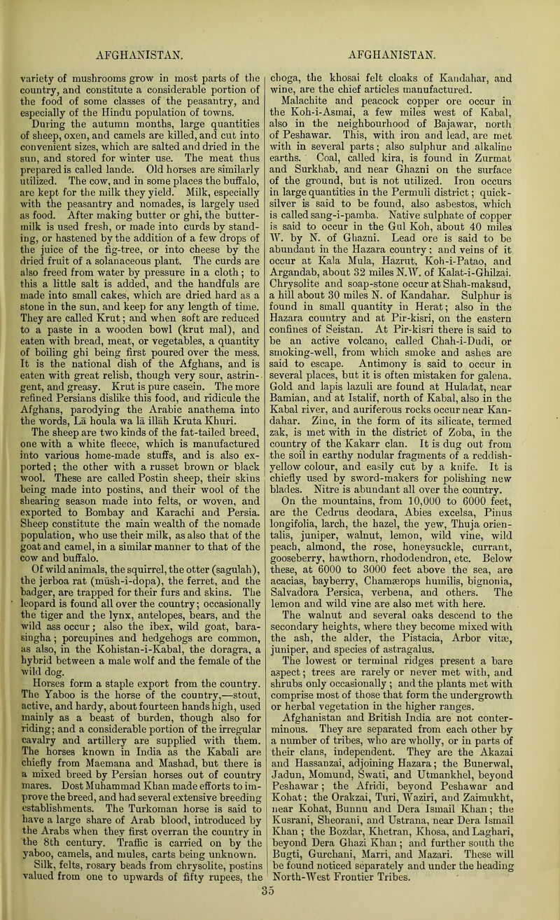 variety of mushrooms grow in most parts of the country, and constitute a considerable portion of the food of some classes of the peasantry, and especially of the Hindu population of towns. During the autumn months, large quantities of sheep, oxen, and camels are killed, and cut into convenient sizes, which are salted and dried in the sun, and stored for winter use. The meat thus prepared is called lande. Old horses are similarly utilized. The cow, and in some places the buffalo, are kept for the milk they yield. Milk, especially with the peasantry and nomades, is largely used as food. After making butter or ghi, the butter- milk is used fresh, or made into curds by stand- ing, or hastened by the addition of a few drops of the juice of the tig-tree, or into cheese by the dried fruit of a solanaceous plant. The curds are also freed from water by pressure in a cloth; to this a little salt is added, and the handfuls are made into small cakes, which are dried hard as a stone in the sun, and keep for any length of time. They are called Krut; and when soft are reduced to a paste in a wooden bowl (krut mal), and eaten with bread, meat, or vegetables, a quantity of boiling ghi being first poured over the mess. It is the national dish of the Afghans, and is eaten with great relish, though very sour, astrin-. gent, and greasy. Krut is pure casein. The more refined Persians dislike this food, and ridicule the Afghans, parodying the Arabic anathema into the words, La houla wa la illah Kruta Khnri. The sheep are two kinds of the fat-tailed breed, one with a white fleece, which is manufactured into various home-made stuffs, and is also ex- ported ; the other with a russet brown or black wool. These are called Postin sheep, their skins being made into postins, and their wool of the shearing season made into felts, or woven, and exported to Bombay and Karachi and Persia. Sheep constitute the main wealth of the nomade population, who use their milk, as also that of the goat and camel, in a similar manner to that of the cow and buffalo. Of wild animals, the squirrel, the otter (sagulah), the jerboa rat (mush-i-dopa), the ferret, and the badger, are trapped for their furs and skins. The leopard is found all over the country; occasionally the tiger and the lynx, antelopes, bears, and the wild ass occur; also the ibex, wild goat, bara- singha; porcupines and hedgehogs are common, as also, in the Kohistan-i-Kabal, the doragra, a hybrid between a male wolf and the female of the wild dog. Horses form a staple export from the country. The Yaboo is the horse of the country,—stout, active, and hardy, about fourteen hands high, used mainly as a beast of burden, though also for riding; and a considerable portion of the irregular cavalry and artillery are supplied with them. The horses known in India as the Kabali are chiefly from Maemana and Mashad, but there is a mixed breed by Persian horses out of country mares. Dost Muhammad Khan made efforts to im- prove the breed, and had several extensive breeding establishments. The Turkoman horse is said to have a large share of Arab blood, introduced by the Arabs when they first overran the country in the 8th century. Traffic is carried on by the yaboo, camels, and mules, carts being unknown. Silk, felts, rosary beads from chrysolite, postins valued from one to upwards of fifty rupees, the choga, the khosai felt cloaks of Kandahar, and wine, are the chief articles manufactured. Malachite and peacock copper ore occur in the Koh-i-Asmai, a few miles west of Kabal, also in the neighbourhood of Bajawar, nortli of Peshawar. This, with iron and lead, are met with in several parts; also sulphur and alkaline earths. Coal, called kira, is found in Zurmat and Surkhab, and near Ghazni on the surface of the ground, but is not utilized. Iron occurs in large quantities in the Permuli district; quick- silver is said to be found, also asbestos, which is called sang-i-pamba. Native sulphate of copper is said to occur in the Gul Koh, about 40 miles IV. by N. of Ghazni. Lead ore is said to be abundant in the Hazara country; and veins of it occur at Kala Mula, Hazrut, Koh-i-Patao, and Argandab, about 32 miles N.AV. of Kalat-i-Ghilzai. Chrysolite and soap-stone occur at Shah-maksud, a hill about 30 miles N. of Kandahar. Sulphur is found in small quantity in Herat; also in the Hazara country and at Pir-kisri, on the eastern confines of Seistan. At Pir-kisri there is said to be an active volcano, called Chah-i-Dudi, or smoking-well, from which smoke and ashes are said to escape. Antimony is said to occur in several places, but it is often mistaken for galena. Gold and lapis lazuli are found at Huladat, near Bamian, and at Istalif, north of Kabal, also in the Kabal river, and auriferous rocks occur near Kan- dahar. Zinc, in the form of its silicate, termed zak, is met with in the district of Zoba, in the country of the Kakarr clan. It is dug out from the soil in earthy nodular fragments of a reddish- yellow colour, and easily cut by a knife. It is chiefly used by sword-makers for polishing new blades. Nitre is abundant all over the country. On the mountains, from 10,000 to 6000 feet, are the Cedrus deodara, Abies excelsa, Pinus longifolia, larch, the hazel, the yew, Thuja orien- tals, juniper, walnut, lemon, wild vine, wild peach, almond, the rose, honeysuckle, currant, gooseberry, hawthorn, rhododendron, etc. Below these, at 6000 to 3000 feet above the sea, are acacias, bayberry, Chamaerops humilis, bignonia, Salvadora Persica, verbena, and others. The lemon and wild vine are also met with here. The walnut and several oaks descend to the secondary heights, where they become mixed with the ash, the alder, the Pistacia, Arbor vitae, juniper, and species of astragalus. The lowest or terminal ridges present a bare aspect; trees are rarely or never met with, and shrubs only occasionally ; and the plants met with comprise most of those that form the undergrowth or herbal vegetation in the higher ranges. Afghanistan and British India are not conter- minous. They are separated from each other by a number of tribes, who are wholly, or in parts of their clans, independent. They are the Akazai and Hassanzai, adjoining Hazara; the Bunerwal, Jadun, Momund, Swati, and Utmankhel, beyond Peshawar; the Afridi, beyond Peshawar and Kohat; the Orakzai, Turi, Waziri, and Zaimukht, near Kohat, Bunnu and Dera Ismail Khan; the Kusrani, Sheorani, and Ustrana, near Dera Ismail Khan ; the Bozdar, Khetran, Khosa, and Laghari, beyond Dera Ghazi Khan ; and further south the Bugti, Gurchani, Marri, and Mazari. These will be found noticed separately and under the heading North-West Frontier Tribes.