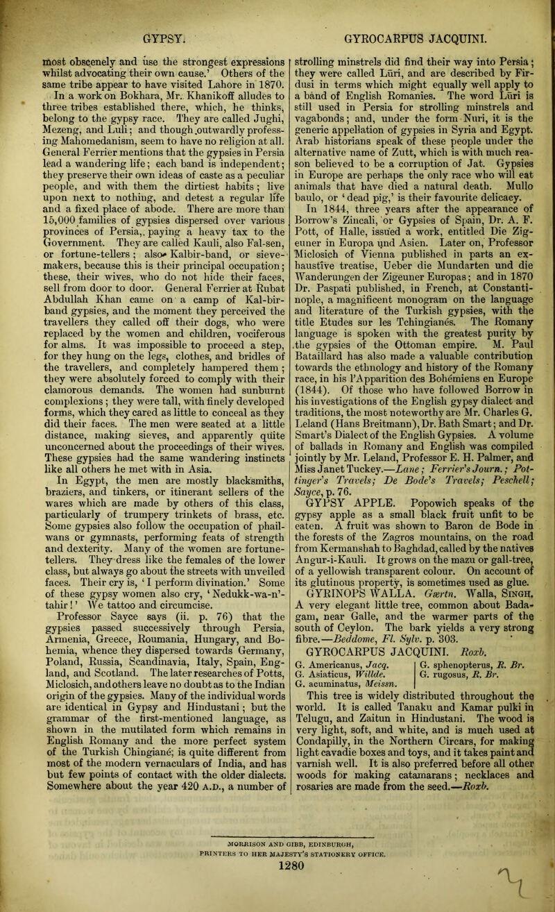 most obscenely and use the strongest expressions whilst advocating their own cause.’ Others of the same tribe appear to have visited Lahore in 1870. In a work on Bokhara, Mr. Khanikoff alludes to three tribes established there, which, he thinks, belong to the gypsy race. They are called Jughi, Mezeng, and Luli; and though .outwardly profess- ing Mahomedanism, seem to have no religion at all. General Ferrier mentions that the gypsies in Persia lead a wandering life; each band is independent; they preserve their own ideas of caste as a peculiar people, and with them the dirtiest habits ; live upon next to nothiug, and detest a regular life and a fixed place of abode. There are more than 15,000 families of gypsies dispersed over various provinces of Persia,, paying a heavy tax to the Government. They are called Kauli, also Fal-sen, or fortune-tellers; also* Kalbir-band, or sieve- makers, because this is their principal occupation; these, their wives, who do not hide their faces, sell from door to door. General Ferrier at Rubat Abdullah Khan came on a camp of Kal-bir- band gypsies, and the moment they perceived the travellers they called off their dogs, who were replaced by the women and children, vociferous for alms. It was impossible to proceed a step, for they hung on the legs, clothes, and bridles of the travellers, and completely hampered them ; they were absolutely forced to comply with their clamorous demands. The women had sunburnt complexions ; they were tall, with finely developed forms, which they cared as little to conceal as they did their faces. The men were seated at a little distance, making sieves, and apparently quite unconcerned about the proceedings of their wives. These gypsies had the same wandering instincts like all others he met with in Asia. In Egypt, the men are mostly blacksmiths, braziers, and tinkers, or itinerant sellers of the wares which are made by others of this class, particularly of trumpery trinkets of brass, etc. Some gypsies also follow the occupation of phail- wans or gymnasts, performing feats of strength and dexterity. Many of the women are fortune- tellers. They dress like the females of the lower class, but always go about the streets with unveiled faces. Their cry is, ‘ I perform divination.’ Some of these gypsy women also cry, 1 Nedukk-wa-n’- tahir! ’ We tattoo and circumcise. Professor Sayce says (ii. p. 76) that the gypsies passed successively through Persia, Armenia, Greece, Roumania, Hungary, and Bo- hemia, whence they dispersed towards Germany, Poland, Russia, Scandinavia, Italy, Spain, Eng- land, and Scotland. The later researches of Potts, Miclosich, and others leave no doubt as to the Indian origin of the gypsies. Many of the individual words are identical in Gypsy and Hindustani; but the grammar of the first-mentioned language, as shown in the mutilated form which remains in English Romany and the more perfect system of the Turkish Chiugiane; is quite different from most of the modern vernaculars of India, and has but few points of contact with the older dialects. Somewhere about the year 420 a.d., a number of strolling minstrels did find their way into Persia; they were called Luri, and are described by Fir- dusi in terms which might equally well apply to a band of English Romanies. The word Luri is still used in Persia for strolling minstrels and vagabonds; and, under the form Nuri, it is the generic appellation of gypsies in Syria and Egypt. Arab historians speak of these people under the alternative name of Zutt, which is with much rea- son believed to be a corruption of Jat. Gypsies in Europe are perhaps the only race who will eat animals that have died a natural death. Mullo baulo, or ‘ dead pig,’ is their favourite delicacy. In 1844, three years after the appearance of Borrow’s Zincali, or Gypsies of Spain, Dr. A. F. Pott, of Halle, issued a work, entitled Die Zig- euner in Europa und Asien. Later on, Professor Miclosich of Vienna published in parts an ex- haustive treatise, Ueber die Mundarten und die Wanderungen der Zigeuner Europas; and in 1870 Dr. Paspati published, in French, at Constanti- nople, a magnificent monogram on the language and literature of the Turkish gypsies, with the title Etudes sur les Tchingianes. The Romany language is spoken with the greatest purity by .the gypsies of the Ottoman empire. M. Paul Bataillard has also made a valuable contribution towards the ethnology and history of the Romany race, in his l’Apparition des Bohemiens en Europe (1844). Of those who have followed Borrow in his investigations of the English gypsy dialect and traditions, the most noteworthy are Mr. Charles G. Leland (Hans Breitmann), Dr. Bath Smart; and Dr. Smart’s Dialect of the English Gypsies. A volume of ballads in Romany and English was compiled jointly by Mr. Leland, Professor E. H. Palmer, and Miss Janet Tuckey.—Lane; Ferrier's Jour n.; Pot- tinger's Travels; De Bode's Travels; Peschell; Sayce, p. 76. GYPSY APPLE. Popowich speaks of the gypsy apple as a small black fruit unfit to be eaten. A fruit was shown to Baron de Bode in the forests of the Zagros mountains, on the road from Kermanshah to Baghdad, called by the natives Angur-i-Kauli. It grows on the mazu or gall-tree, of a yellowish transparent colour. On account of its glutinous property, is sometimes used as glue. GYRINOPS WALLA. Gsertn. Walla, Singh. A very elegant little tree, common about Bada- gam, near Galle, and the warmer parts of the south of Ceylon. The bark yields a very strong fibre.—Bed dome, FI. Sylv. p. 303. GYROCARPUS JACQUINI. Roxb. G. Americanus, Jacq. G. sphenopterus, JR. Br. G. Asiaticus, Willde. G. rugosus, 11. Br. G. acuminatus, Meissn. This tree is widely distributed throughout the world. It is called Tanaku and Kamar pulki in Telugu, and Zaitun in Hindustani. The wood is very light, soft, and white, and is much used at Condapilly, in the Northern Circars, for making light cavadie boxes and toys, and it takes paint and varnish well. It is also preferred before all other woods for making catamarans; necklaces and rosaries are made from the seed.—Roxb. MORRISON AND GIBB, EDINBURGH, PRINTERS TO HER MAJESTY’S STATIONERY OFFICE.