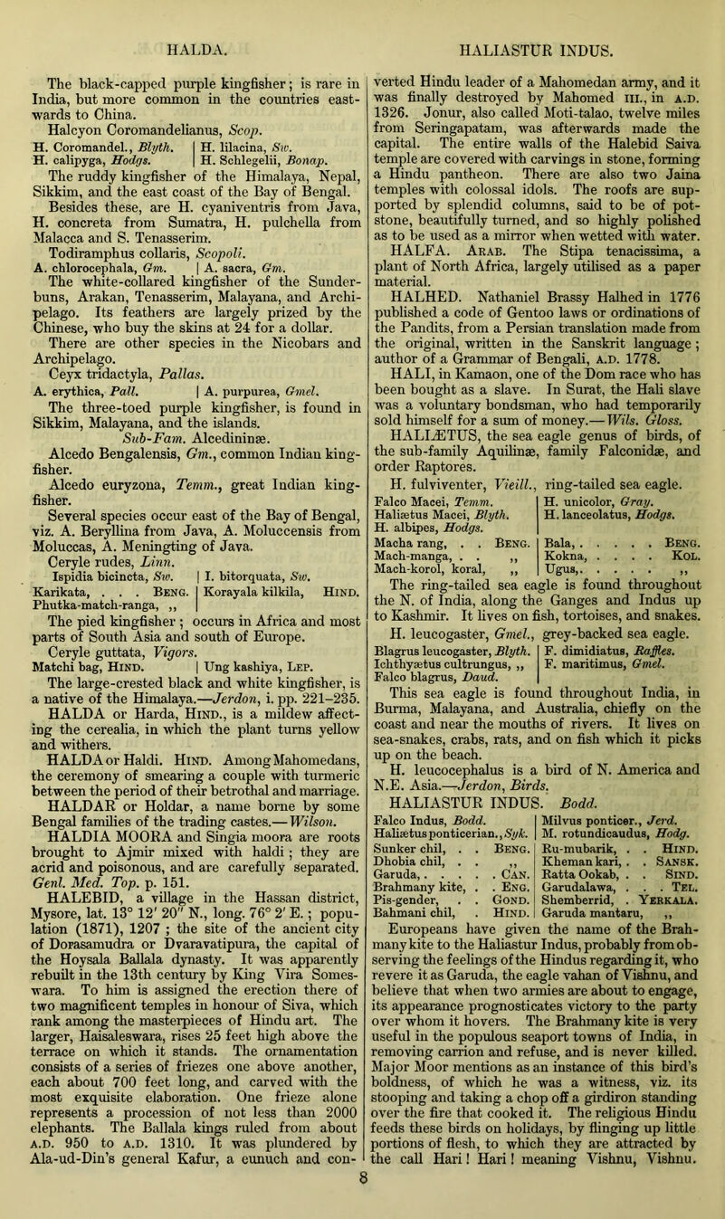 The black-capped purple kingfisher; is rare in India, but more common in the countries east- wards to China. Halcyon Coromandelianus, Scop. H. Coromandel., Blyth. I H. lilacina, Sio. H. calipyga, Hodgs. \ H. Schlegelii, Bonap. The ruddy kingfisher of the Himalaya, Nepal, Sikkim, and the east coast of the Bay of Bengal. Besides these, are H. cyaniventris from Java, H. concreta from Sumatra, H. pulehella from Malacca and S. Tenasserim. Todiramphus collaris, Scopoli. A. chlorocephala, Gm. \ A. sacra, Gm. The white-collared kingfisher of the Sunder- buns, Arakan, Tenasserim, Malayana, and Archi- pelago. Its feathers are largely prized by the Chinese, who buy the skins at 24 for a dollar. There are other species in the Nicobars and Archipelago. Ceyx tridactyla, Pallas. A. erythica, Pall. | A. purpurea, Gmel. The three-toed purple kingfisher, is found in Sikkim, Malayana, and the islands. Sub-Fam. Alcedininse. Alcedo Bengalensis, Gm., common Indian king- fisher. Alcedo euryzona, Temm., great Indian king- fisher. Several species occur east of the Bay of Bengal, viz. A. Beryllina from Java, A. Moluccensis from Moluccas, A. Meningting of Java. Ceryle rudes, Linn. Ispidia bicincta, Siv. | I. bitorquata, Sw. Karikata, . . . Beng. | Korayala kilkila, Hind. Phutka-match-ranga, ,, The pied kingfisher ; occurs in Africa and most parts of South Asia and south of Europe. Ceryle guttata, Vigors. Matchi bag, Hind. | Ung kashiya, Lep. The large-crested black and white kingfisher, is a native of the Himalaya.—Jerdon, i. pp. 221-235. HALDA or Harda, Hind., is a mildew affect- ing the cerealia, in which the plant turns yellow and withers. HALDA or Haldi. Hind. Among Mahomedans, the ceremony of smearing a couple with turmeric between the period of their betrothal and marriage. HALDAR or Holdar, a name borne by some Bengal families of the trading castes.— Wilson. HALDIA MOORA and Singia moora are roots brought to Ajmir mixed with haldi; they are acrid and poisonous, and are carefully separated. Genl. Med. Top. p. 151. HALEBID, a village in the Hassan district, Mysore, lat. 13° 12' 20 N., long. 76° 2' E.; popu- lation (1871), 1207 ; the site of the ancient city of Dorasamudra or Dvaravatipura, the capital of the Hoysala Ballala dynasty. It was apparently rebuilt in the 13th century by King Vira Somes- wara. To him is assigned the erection there of two magnificent temples in honour of Siva, which rank among the masterpieces of Hindu art. The larger, Haisaleswara, rises 25 feet high above the terrace on which it stands. The ornamentation consists of a series of friezes one above another, each about 700 feet long, and carved with the most exquisite elaboration. One frieze alone represents a procession of not less than 2000 elephants. The Ballala kings ruled from about a.d. 950 to a.d. 1310. It was plundered by Ala-ud-Din’s general Kafur, a eunuch and con- verted Hindu leader of a Mahomedan army, and it was finally destroyed by Mahomed hi., in a.d. 1326. Jonur, also called Moti-talao, twelve miles from Seringapatam, was afterwards made the capital. The entire walls of the Halebid Saiva temple are covered with carvings in stone, forming a Hindu pantheon. There are also two Jaina temples with colossal idols. The roofs are sup- ported by splendid columns, said to be of pot- stone, beautifully turned, and so highly polished as to be used as a mirror when wetted with water. HALFA. Arab. The Stipa tenacissima, a plant of North Africa, largely utilised as a paper material. HALHED. Nathaniel Brassy Halhed in 1776 published a code of Gentoo laws or ordinations of the Pandits, from a Persian translation made from the original, written in the Sanskrit language ; author of a Grammar of Bengali, a.d. 1778. HALI, in Kamaon, one of the Dom race who has been bought as a slave. In Surat, the Hali slave was a voluntary bondsman, who had temporarily sold himself for a sum of money.— Wils. Gloss. IIALLETUS, the sea eagle genus of birds, of the sub-family Aquilinse, family Falconidse, and order Raptores. H. fulviventer, Vieill., ring-tailed sea eagle. Falco Macei, Temm. Hali;etus Macei, Blyth. H. albipes, Hodgs. Macha rang, . . Beng. Mach-manga, . . ,, Mach-korol, koral, „ H. unicolor, Gray. H.lanceolatus, Hodgs. Bala, Beng. Kokna, .... Kol. Ugus „ The ring-tailed sea eagle is found throughout the N. of India, along the Ganges and Indus up to Kashmir. It lives on fish, tortoises, and snakes. H. leucogaster, Gmel., grey-backed sea eagle. Blagrus leucogaster, Blyth. F. dimidiatus, Raffles. Ichthyaetus cultrungus, „ F. maritimus, Gmel. Falco blagrus, jGaud. This sea eagle is found throughout India, in Burma, Malayana, and Australia, chiefly on the coast and near the mouths of rivers. It lives on sea-snakes, crabs, rats, and on fish which it picks up on the beach. H. leucocephalus is a bird of N. America and N.E. Asia.—Jerdon, Birds. HALIASTUR INDUS. Bodd. Falco Indus, Bodd. Haliaetus ponticerian., Syk. Sunker chil, . . Beng. Dhobia chil, . . ,, Garuda, Can. Brahmany kite, . . Eng. Pis-gender, . . Gond. Bahmani chil, . Hind. Milvus ponticer., Jerd. M. rotundicaudus, Hodg. Ru-mubarik, . . Hind. Kkeman kari, . . Sansk. Ratta Ookab, . . Sind. Garudalawa, . . . Tel. Shemberrid, . Yehkala. Garuda mantaru, ,, Europeans have given the name of the Brah- many kite to the Haliastur Indus, probably from ob- serving the feelings of the Hindus regarding it, who revere it as Garuda, the eagle vahan of Vishnu, and believe that when two armies are about to engage, its appearance prognosticates victory to the party over whom it hovers. The Brahmany kite is very useful in the populous seaport towns of India, in removing carrion and refuse, and is never killed. Major Moor mentions as an instance of this bird’s boldness, of which he was a witness, viz. its stooping and taking a chop off a girdiron standing over the fire that cooked it. The religious Hindu feeds these birds on holidays, by flinging up little portions of flesh, to which they are attracted by the call Hari! Hari! meaning Vishnu, Vishnu.