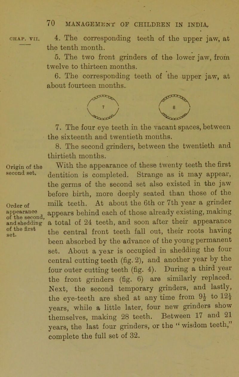 Origin of the second set. Order of appearance of the second, and shedding of the first set. 70 MANAGEMliwr OF CHILDEEN IN INDIA, the tenth month. 5. The two front grinders of the lower jaw, froin twelve to thirteen months. 6. The corresponding teeth of the upper jaw, at about fourteen months. vy Vly 7. The four eye teeth in the vacant spaces, between the sixteenth and twentieth months. 8. The second grinders, between the twentieth and thirtieth months. With the appearance of these twenty teeth the first dentition is completed. Strange as it may appear, the germs of the second set also existed in the jaw before birth, more deeply seated than those of the milk teeth. At about the 6th or 7th year a grinder appears behind each of those already existing, making a total of 24 teeth, and soon after their appearance the central front teeth fall out, their roots having been absorbed by the advance of the young permanent set. About a year is occupied in shedding the four central cutting teeth (fig. 2), and another year by the four outer cutting teeth (fig. 4). During a third year the front grinders (fig. 6) are similarly replaced. Next, the second temporary grinders, and lastly, the eye-teeth are shed at any time from 9^ to 12^ years, while a little later, four new grinders show themselves, making 28 teeth. Between 17 and 21 years, the last four grinders, or the “ wisdom teeth,” complete the full set of 32.