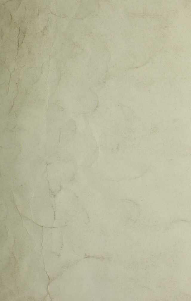digitised image 1