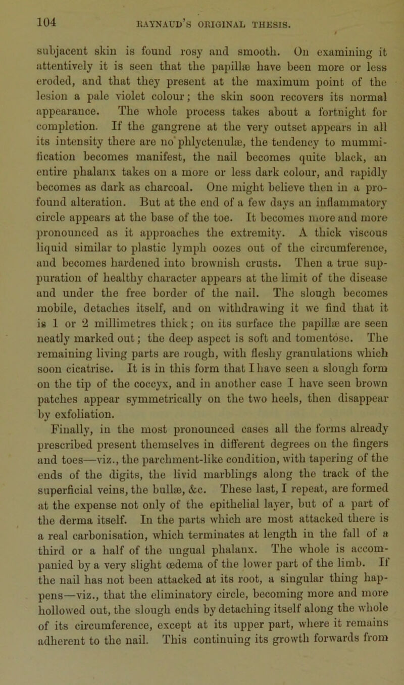 subjaceut skin is fouud rosy aud smootb. Ou examining it attentively it is seen tbat tbe papillæ bave beeu more or les» oroded, and tbat tbey présent at tbe maximum point of tbe lésion a pale violet colour ; tbe skin soon recovers its normal appcarance. Tbe wbole process takes about a fortnigbt for comidetion. If tbe gangrené at tbe very outset appears in ail its intensity tbere are no pblyctenulæ, tbe tendency to mummi- lication becomes manifest, tbe nail becomes quite black, au entire pbalanx takes on a more or less dark colour, and rapidly becomes as dark as cbarcoal. One migbt believe tbeu in a pro- found alteration. But at tbe end of a few days an inflammatory circle appears at tbe base of tbe toe. It becomes more and more pronounced as it approacbes tbe extremity. A tbick viscous liquid similar to plastic lympb oozes out of tbe circumference, aud becomes bardeucd iuto brownisb crusts. Tbeu a true sup- puration of bealtby cbaracter appears at tbe limit of tbe disease aud under tbe free border of tbe nail. Tbe slougb becomes mobile, detacbes itself, and on witbdrawing it we find tbat it is 1 or 2 millimétrés tbick ; on its surface tbe papillæ are seen neatly marked out ; tbe deep asiiect is soft and tomentose. Tbe remaining living parts are rougb, witb flesby granulations wbich soon cicatrise. It is in tbis form tbat I bave seen a slougb form ou tbe tip of tbe coccyx, and in anotber case I bave seen brown patcbes appear symmetrically on tbe two beels, tben disappear by exfoliation. Fiually, in tbe most pronounced cases ail tbe forms already prescribed présent tbemselves in different degrees ou tbe Angers and toes—viz., tbe parcbment-like condition, witb tapering of tbe ends of tbe digits, tbe livid marblings along tbe track of tbe superficial veins, tbe bullæ, &c. Tbese last, I repeat, are formed at tbe expeuse not ouly of tbe epitbelial layer, but of a part of tbe derma itself. In tbe parts wbicb are most attacked tbere is a real carbonisation, wbicb terminâtes at leugtb in tbe fall of a tbird or a balf of tbe uugual pbalanx. Tbe wbole is accom- panied by a veiy sligbt œdema of tbe lower part of tbe limb. It tbe nail bas not been attacked at its root, a siugular tbing bap- pens—viz., tbat tbe elimiuatory circle, becoming more and more bollowed out, tbe slougb ends by detacbing itself along tbe wbole of its circumference, except at its upper part, wbere it reraains adbereut to tbe nail. Tbis continuing its growtb forwards from