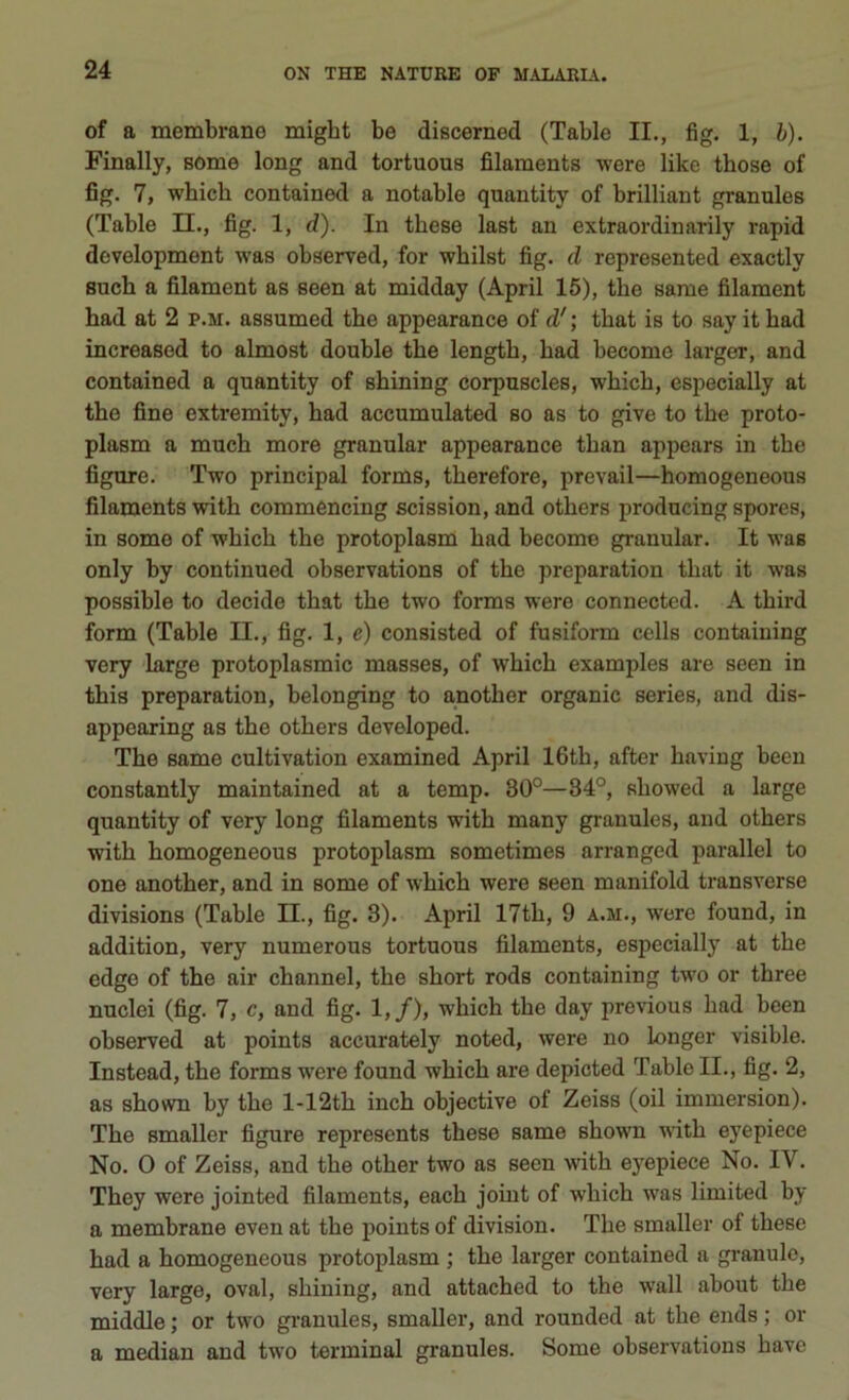 of a membrane migbt be discerned (Table II., fig. 1, b). Finally, sòme long and tortuous filaraents were like those of fig. 7, whicb contained a notable quautity of brilliant granules (Table II., fig. 1, d). In tbese last an extraordinarily rapìd development was obserred, for wbilst fig. d represented exactly such a filament as seen at midday (Aprii 15), thè same filament had at 2 p.m. assumed thè appearance of d' ; that is to say it had increased to almost doublé thè length, had become larger, and contained a quantity of shining corpuscles, which, especially at thè fine extremity, had accumulated so as to give to thè proto- plasm a much more granular appearance than appears in thè figure. Two principal forms, therefore, prevail—homogeneous filaments with commencing scission, and others producing spores, in some of which thè protoplasm had become granular. It was only by continued observations of thè preparation that it was possible to decide that thè two forms were connectcd. A third form (Table II., fig. 1, e) consisted of fusiform cells containing very large protoplasmic masses, of which examples are seen in this preparation, belonging to another organic series, and dis- appearing as thè others developed. The same cultivation examined Aprii 16th, after having been constantly maintained at a temp. 30°—34°, showed a large quantity of very long filaments with many granules, and others with homogeneous protoplasm sometimes arranged parallel to one another, and in some of which were seen manifold ti*ansverse divisions (Table II., fig. 3). Aprii 17th, 9 a.m., were found, in addition, very numerous tortuous filaments, especially at thè edgo of thè air channel, thè short rods containing two or three nuclei (fig. 7, c, and fig. 1,/), which thè day previous had been observed at points accurately noted, were no longer visible. Instead, thè forms were found which are depioted Table II., fig. 2, as shown by thè l-12th inch objective of Zeiss (oil immersion). The smaller figure represents these same shown ^ith eyepiece No. 0 of Zeiss, and thè other two as seen with eyepiece No. IV. They were jointed filaments, each joint of which was limited by a membrane even at thè points of division. The smaller of these had a homogeneous protoplasm ; thè larger contained a granula, very large, ovai, shining, and attached to thè wall about thè middle ; or two granules, smaller, and rounded at thè ends ; or a median and two terminal granules. Some observations bave