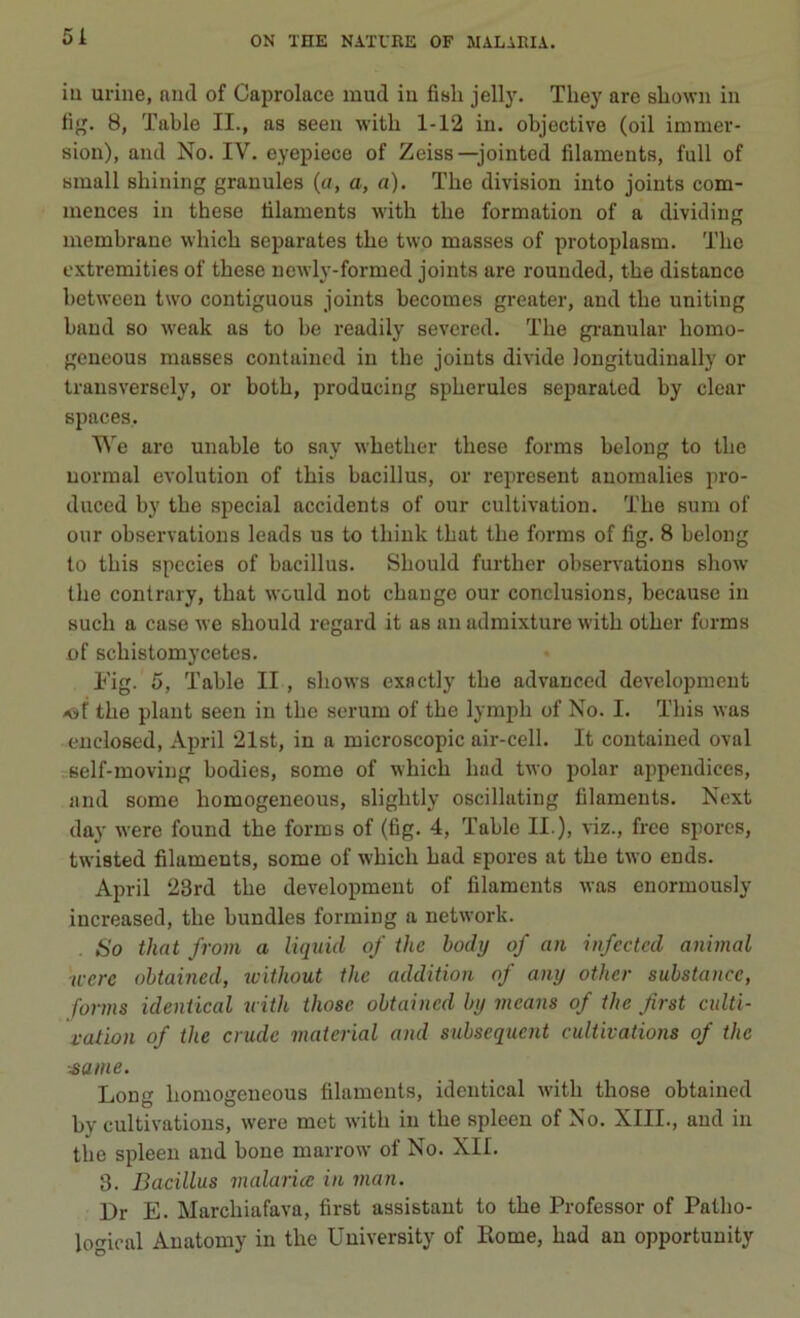 5i iu urine, niid of Caprolace inud in fiali jelljL Tliey are sliowii in fig. 8, Table II., as seen with 1-12 in. objective (oil immer- sion), and No. IV. eyepiece of Zeiss—jointed filaments, full of amali shilling granules («, a, a). The division into joints com- mences in these filaments with thè formation of a dividing membrane which separates thè two masses of protoplasm. The extremities of these newly-formed joints are rounded, thè distance between two contiguous joints becomes greater, and thè uniting band so weak as to be readily severed. The gi-annlar homo- geueous masses containcd in thè joints divide longitudinally or transverscly, or both, producing spherules separated by clear spaces, We aro unable to say whether these forms belong to thè normal evolution of this bacillus, or represent auoraalies pro- duced by thè special accidente of our cultivation. The sum of Olir observations leads us to think that thè forms of fig. 8 belong lo this species of bacillus. Should further observations show thè contrary, that would not change our conclusions, because in such a case we should regard it as aii admixture with other forms of schistomycetes. Fig. 5, Table II, shows exactly thè advanced developmeiit 40f thè plaiit seen in thè serum of thè lymph of No. I. This was enclosed. Aprii 21st, in a microscopie air-cell. It contained ovai ;:self-moving bodies, some of which had two polar appendices, and some homogeneous, slightly oscillating filaments. Next day were found thè forms of (fig. 4, Table II.), viz., free spores, twisted filaments, some of which had spores at thè two ends. Aprii 23rd thè developmeut of filaments was enormously increased, thè hundles forming a network. So that from a liquid of thè body of aii infected animai ■icerc obtained, ivithout thè addition of any other substancc, forms identical uith those obtained by means of thè first adii- vation of thè crude material and subsequent cultivations of thè ■sanie. Long homogeneous filaments, identical with those obtained by cultivations, were met with iu thè spleen of No. XIII., and iu thè spleen and bone marrow of No. XII. 3. Bacillus malarico in man. Dr E. Marchiafava, first assistant to thè Professor of Patho- logical Anatomy in thè University of Rome, had an opportuuity