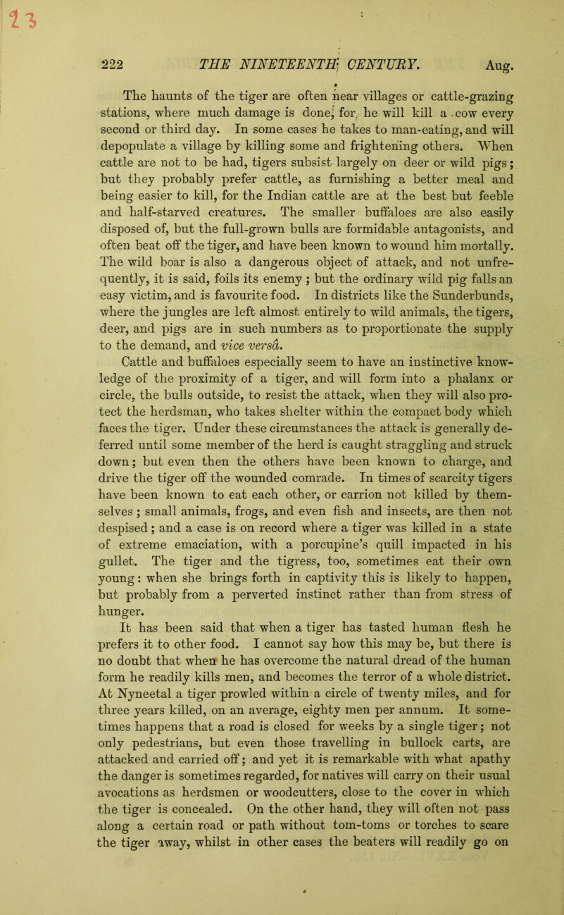 The haunts of the tiger are often hear villages or cattle-grazing stations, where much damage is done; for, he will kill a cow every second or third day. In some cases he takes to man-eating, and will depopulate a village by killing some and frightening others. When cattle are not to be had, tigers subsist largely on deer or wild pigs; but they probably prefer cattle, as furnishing a better meal and being easier to kill, for the Indian cattle are at the best but feeble and half-starved creatures. The smaller buffaloes are also easily disposed of, but the full-grown bulls are formidable antagonists, and often beat off the tiger, and have been known to wound him mortally. The wild boar is also a dangerous object of attack, and not unfre- quently, it is said, foils its enemy; but the ordinary wild pig falls an easy victim, and is favourite food. In districts like the Sunderbunds, where the jungles are left almost entirely to wild animals, the tigers, deer, and pigs are in such numbers as to proportionate the supply to the demand, and vice versa. Cattle and buffaloes especially seem to have an instinctive know- ledge of the proximity of a tiger, and will form into a phalanx or circle, the bulls outside, to resist the attack, when they will also pro- tect the herdsman, who takes shelter within the compact body which faces the tiger. Under these circumstances the attack is generally de- ferred until some member of the herd is caught straggling and struck down; but even then the others have been known to charge, and drive the tiger off the wounded comrade. In times of scarcity tigers have been known to eat each other, or carrion not killed by them- selves ; small animals, frogs, and even fish and insects, are then not despised; and a case is on record where a tiger was killed in a state of extreme emaciation, with a porcupine’s quill impacted in his gullet. The tiger and the tigress, too, sometimes eat their own young: when she brings forth in captivity this is likely to happen, but probably from a perverted instinct rather than from stress of hunger. It has been said that when a tiger has tasted human flesh he prefers it to other food. I cannot say how this may be, but there is no doubt that when he has overcome the natural dread of the human form he readily kills men, and becomes the terror of a whole district. At Nyneetal a tiger prowled within a circle of twenty miles, and for three years killed, on an average, eighty men per annum. It some- times happens that a road is closed for weeks by a single tiger; not only pedestrians, but even those travelling in bullock carts, are attacked and carried off; and yet it is remarkable with what apathy the danger is sometimes regarded, for natives will carry on their usual avocations as herdsmen or woodcutters, close to the cover in which the tiger is concealed. On the other hand, they will often not pass along a certain road or path without tom-toms or torches to scare the tiger away, whilst in other cases the beaters will readily go on