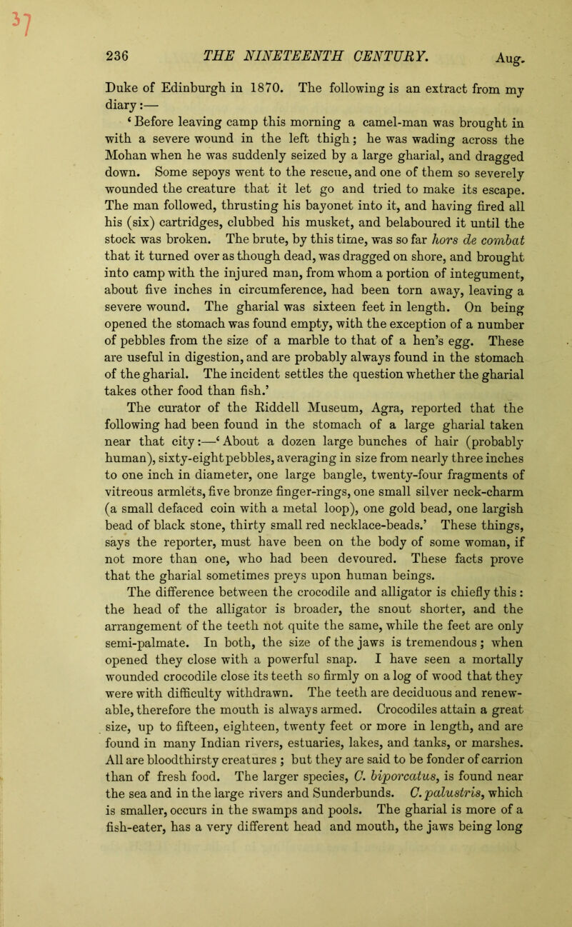 Duke of Edinburgh in 1870. The following is an extract from my diary:— ‘ Before leaving camp this morning a camel-man was brought in with a severe wound in the left thigh; he was wading across the Mohan when he was suddenly seized by a large gharial, and dragged down. Some sepoys went to the rescue, and one of them so severely wounded the creature that it let go and tried to make its escape. The man followed, thrusting his bayonet into it, and having fired all his (six) cartridges, clubbed his musket, and belaboured it until the stock was broken. The brute, by this time, was so far hors de combat that it turned over as though dead, was dragged on shore, and brought into camp with the injured man, from whom a portion of integument, about five inches in circumference, had been torn away, leaving a severe wound. The gharial was sixteen feet in length. On being opened the stomach was found empty, with the exception of a number of pebbles from the size of a marble to that of a hen’s egg. These are useful in digestion, and are probably always found in the stomach of the gharial. The incident settles the question whether the gharial takes other food than fish.’ The curator of the Riddell Museum, Agra, reported that the following had been found in the stomach of a large gharial taken near that city:—4 About a dozen large bunches of hair (probably human), sixty-eight pebbles, averaging in size from nearly three inches to one inch in diameter, one large bangle, twenty-four fragments of vitreous armlets, five bronze finger-rings, one small silver neck-charm (a small defaced coin with a metal loop), one gold bead, one largish bead of black stone, thirty small red necklace-beads.’ These things, says the reporter, must have been on the body of some woman, if not more than one, who had been devoured. These facts prove that the gharial sometimes preys upon human beings. The difference between the crocodile and alligator is chiefly this: the head of the alligator is broader, the snout shorter, and the arrangement of the teeth not quite the same, while the feet are only semi-palmate. In both, the size of the jaws is tremendous; when opened they close with a powerful snap. I have seen a mortally wounded crocodile close its teeth so firmly on a log of wood that they were with difficulty withdrawn. The teeth are deciduous and renew- able, therefore the mouth is always armed. Crocodiles attain a great size, up to fifteen, eighteen, twenty feet or more in length, and are found in many Indian rivers, estuaries, lakes, and tanks, or marshes. All are bloodthirsty creatures ; but they are said to be fonder of carrion than of fresh food. The larger species, Cbijporcatus, is found near the sea and in the large rivers and Sunderbunds. C. palustris, which is smaller, occurs in the swamps and pools. The gharial is more of a fish-eater, has a very different head and mouth, the jaws being long