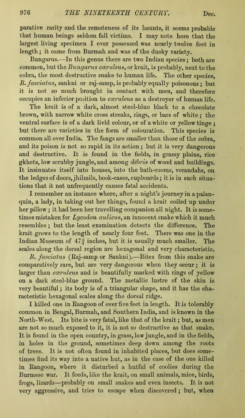 parative rarity and the remoteness of its haunts, it seems probable that human beings seldom fall victims. I may note here that the largest living specimen I ever possessed was nearly twelve feet in length; it came from Burmah and was of the dusky variety. Bungarus.—In this genus there are two Indian species ; both are common, but the Bungarus cceruleus, or krait, is probably, next to the cobra, the most destructive snake to human life. The other species, B.fasciatus, sankni or raj-samp, is probably equally poisonous ; but it is not so much brought in contact with men, and therefore occupies an inferior position to cceruleus as a destroyer of human life. The krait is of a dark, almost steel-blue black to a chocolate brown, with narrow white cross streaks, rings, or bars of white ; the ventral surface is of a dark livid colour, or of a white or yellow tinge ; but there are varieties in the form of colouration. This species is common all over India. The fangs are smaller than those of the cobra, and its poison is not so rapid in its action ; but it is very dangerous and destructive. It is found in the fields, in grassy plains, rice gkhets, low scrubby jungle, and among debris of wood and buildings. It insinuates itself into houses, into the bath-rooms, verandahs, on the ledges of doors, jhilmils, book-cases, cupboards; it is in such situa- tions that it not unfrequently causes fatal accidents. I remember an instance where, after a night’s journey in a palan- quin, a lady, in taking out her things, found a krait coiled up under her pillow ; it had been her travelling companion all night. It is some- times mistaken for Lycodon aulicus, an innocent snake which it much resembles ; but the least examination detects the difference. The krait grows to the length of nearly four feet. There was one in the Indian Museum of 47f inches, but it is usually much smaller. The scales along the dorsal region are hexagonal and very characteristic. B. fasciatus (Raj-samp or Sankni).—Bites from this snake are comparatively rare, but are very dangerous when they occur; it is larger than cceruleus and is beautifully marked with rings of yellow on a dark steel-blue ground. The metallic lustre of the skin is very beautiful; its body is of a triangular shape, and it has the cha- racteristic hexagonal scales along the dorsal ridge. I killed one in Rangoon of over five feet in length. It is tolerably common in Bengal, Burmah, and Southern India, and is known in the North-West. Its bite is very fatal, like that of the krait; but, as men are not so much exposed to it, it is not so destructive as that snake. It is found in the open country, in grass, low jungle, and in the fields, in holes in the ground, sometimes deep down among the roots of trees. It is not often found in inhabited places, but does some- times find its way into a native hut, as in the case of the one killed in Rangoon, where it disturbed a hutfnl of coolies during the Burmese war. It feeds, like the krait, on small animals, mice, birds, frogs, lizards—probably on small snakes and even insects. It is not very aggressive, and tries to escape when discovered; but, when