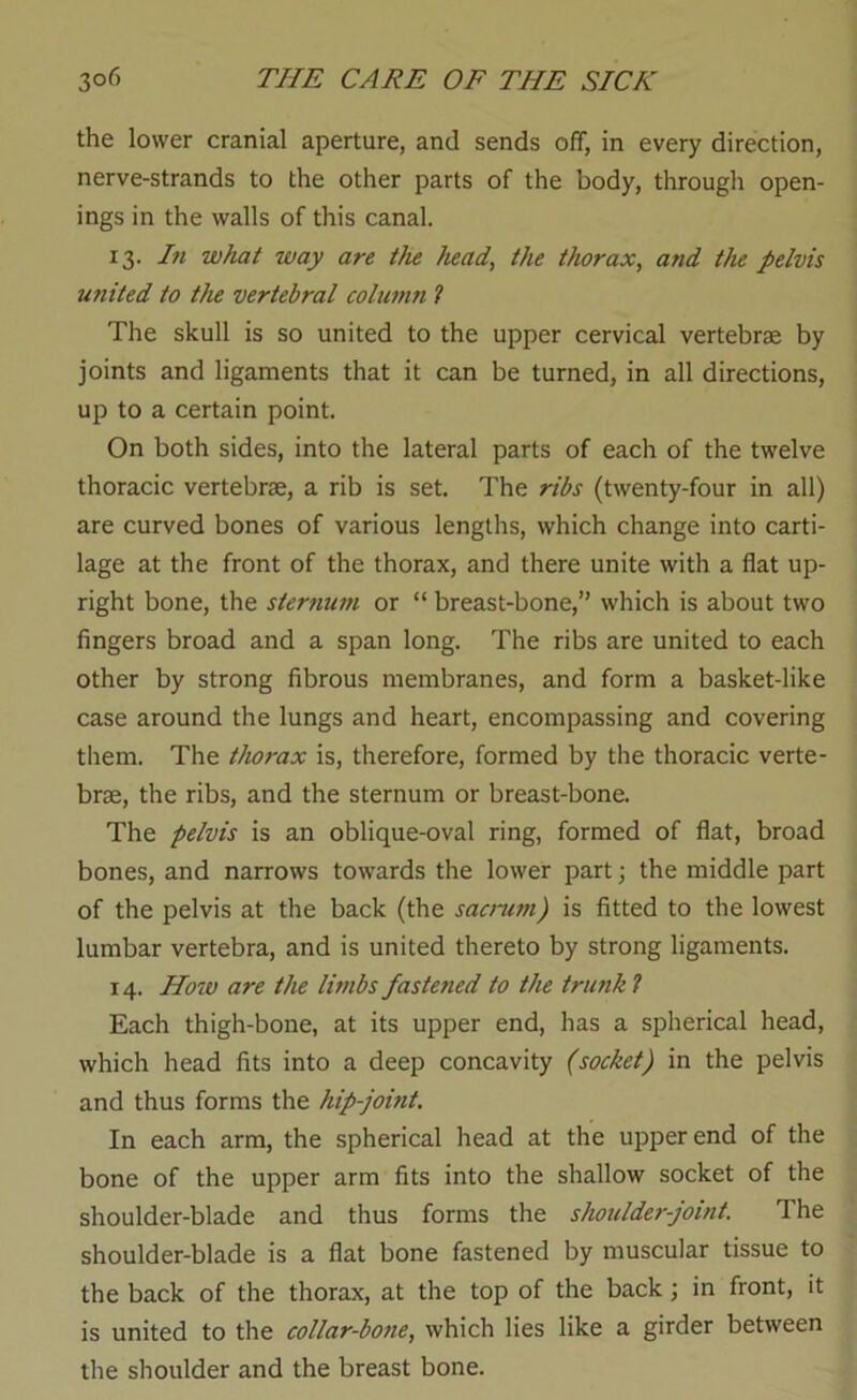 the lower cranial aperture, and sends off, in every direction, nerve-strands to the other parts of the body, through open- ings in the walls of this canal. 13. In what way are the head, the thorax, and the pelvis united to the vertebral column ? The skull is so united to the upper cervical vertebrae by joints and ligaments that it can be turned, in all directions, up to a certain point. On both sides, into the lateral parts of each of the twelve thoracic vertebrae, a rib is set. The ribs (twenty-four in all) are curved bones of various lengths, which change into carti- lage at the front of the thorax, and there unite with a flat up- right bone, the sternum or “ breast-bone,” which is about two fingers broad and a span long. The ribs are united to each other by strong fibrous membranes, and form a basket-like case around the lungs and heart, encompassing and covering them. The thorax is, therefore, formed by the thoracic verte- brae, the ribs, and the sternum or breast-bone. The pelvis is an oblique-oval ring, formed of flat, broad bones, and narrows towards the lower part; the middle part of the pelvis at the back (the sacnwi) is fitted to the lowest lumbar vertebra, and is united thereto by strong ligaments. 14. How are the limbs fastened to the trunk 1 Each thigh-bone, at its upper end, has a spherical head, which head fits into a deep concavity (socket) in the pelvis and thus forms the hip-joint. In each arm, the spherical head at the upper end of the bone of the upper arm fits into the shallow socket of the shoulder-blade and thus forms the shoulder-joint. The shoulder-blade is a flat bone fastened by muscular tissue to the back of the thorax, at the top of the back j in front, it is united to the collar-bone, which lies like a girder between the shoulder and the breast bone.