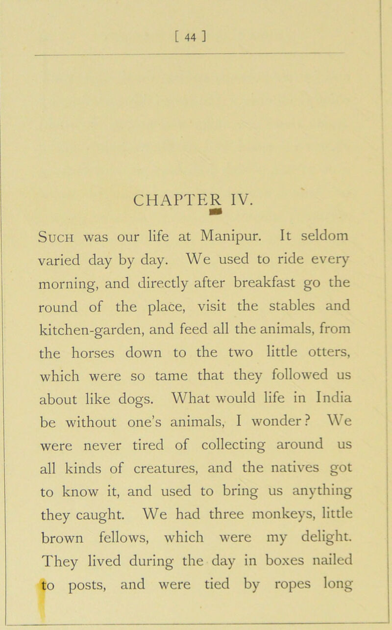 Such was our life at Manipur. It seldom varied day by day. We used to ride every morning, and directly after breakfast go the round of the place, visit the stables and kitchen-garden, and feed all the animals, from the horses down to the two little otters, which were so tame that they followed us about like dogs. What would life in India be without one’s animals, I wonder ? We were never tired of collecting around us all kinds of creatures, and the natives got to know it, and used to bring us anything they caught. We had three monkeys, little brown fellows, which were my delight. They lived during the day in boxes nailed to posts, and were tied by ropes long