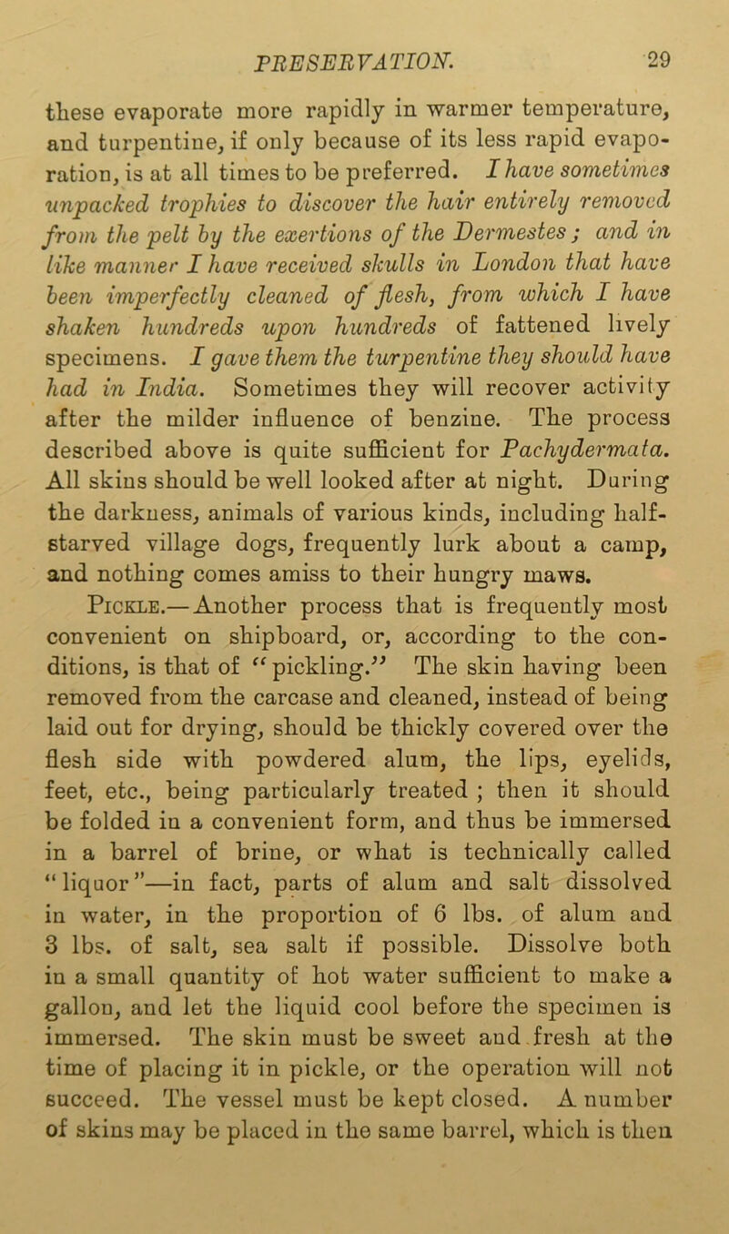 these evaporate more rapidly in warmer temperature, and turpentine, if only because of its less rapid evapo- ration, is at all times to be preferred. I have sometimes unpacked trophies to discover the hair entirely removed from the pelt by the exertions of the Dermestes ; and in like manner I have received skulls in London that have been imperfectly cleaned of flesh, from which I have shaken hundreds upon hundreds of fattened lively specimens. I gave them the turpentine they should have had in India. Sometimes they will recover activity after the milder influence of benzine. The process described above is quite sufficient for Pachydermata. All skins should be well looked after at night. Daring the darkness, animals of various kinds, including half- starved village dogs, frequently lurk about a camp, and nothing comes amiss to their hungry maws. Pickle.— Another process that is frequently most convenient on shipboard, or, according to the con- ditions, is that of “ pickling.” The skin having been removed from the carcase and cleaned, instead of being laid out for drying, should be thickly covered over the flesh side with powdered alum, the lips, eyelids, feet, etc., being particularly treated ; then it should be folded iu a convenient form, and thus be immersed in a barrel of brine, or what is technically called “liquor”—in fact, parts of alum and salt dissolved in water, in the proportion of 6 lbs. of alum and 3 lbs. of salt, sea salt if possible. Dissolve both in a small quantity of hot water sufficient to make a gallou, and let the liquid cool before the specimen is immersed. The skin must be sweet aud fresh at the time of placing it in pickle, or the operation will not succeed. The vessel must be kept closed. A number of skins may be placed in the same barrel, which is then