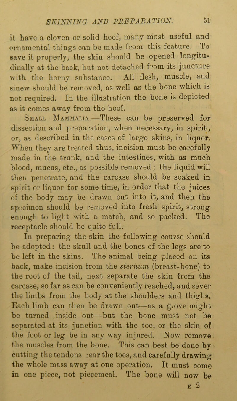 it Lave a cloven or solid hoof, many most useful and ornamental things can be made from this feature. To save it properly, the skin should be opened longitu- dinally at the back, but not detached from its juncture with the horny substance. All flesh, muscle, and sinew should be removed, as well as the bone which is not required. In the illustration the bone is depicted as it comes away from the hoof. Small Mammalia.—These can be preserved for dissection and preparation, when necessary, in spirit, or, as described in the cases of larg6 skins, in liquor. When they are treated thus, incision must be carefully made in the trunk, and the intestines, with as much blood, mucus, etc., as possible removed ; the liquid will then penetrate, and the carcase should be soaked in spirit or liquor for some time, in order that the juices of the body may be drawn out into it, and then the specimen should be removed into fresh spirit, strong enough to light with a match, and so packed. The receptacle should be quite full. In preparing the skin the following course should be adopted: the skull and the bones of the legs are to be left in the skins. The animal being placed on its back, make incision from the sternum (breast-bone) to the root of the tail, next, separate the skin from the carcase, so far as can be conveniently reached, and sever the limbs from the body at the shoulders and thighs. Each limb can then be drawn out—as a gmve might be turned inside out—but the bone must not be separated at its junction with the toe, or the skin of the foot or leg be in any way injured. Now remove the muscles from the bone. This can best be done by cutting the tendons Aear the toes, and carefully drawing the whole mass away at one operation. It must come in one piece, not piecemeal. The bone will now be e 2
