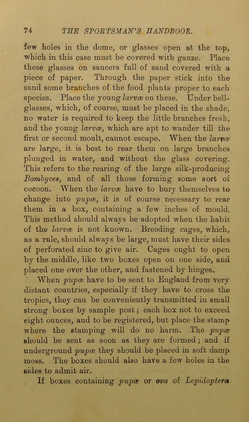 few holes in the dome, or glasses open at the top, which in this case mast be covered with gauze. Place these glasses on saucers full of sand covered with a piece of paper. Through the paper stick into the sand some branches of the food plants proper to each species. Place the young larvce on these. Under bell- glasses, which, of course, must be placed in the shade, no water is required to keep the little branches fresh, and the young larvce, which are apt to wander till the first or second moult, cannot escape. When the larvce are large, it is best to rear them on large branches plunged in water, and without the glass covering. This refers to the rearing of the large silk-producing Bombyces, and of all those forming some sort of cocoon. When the larvce have to bury themselves to change into pupae, it is of course necessary to rear them in a box, containing a few inches of mould. This method should always be adopted when the habit of the larvce is not known. Breeding cages, which, as a rule, should always be large, must have their sides of perforated zinc to give air. Cages ought to open by the middle, like two boxes open on one side, and placed one over the other, and fastened by hinges. When pupae have to be sent to England from very distant countries, especially if they have to cross the tropics, they can be conveniently transmitted in small strong boxes by sample post; each box not to exceed eight ounces, and to be registered, but place the stamp where the stamping will do no harm. The pupae should be sent as soon as they are formed; and if underground pupae they should be placed in soft damp moss. The boxes should also have a few holes in the sides to admit air. If boxes containing pupce or ova of Lepidoptera
