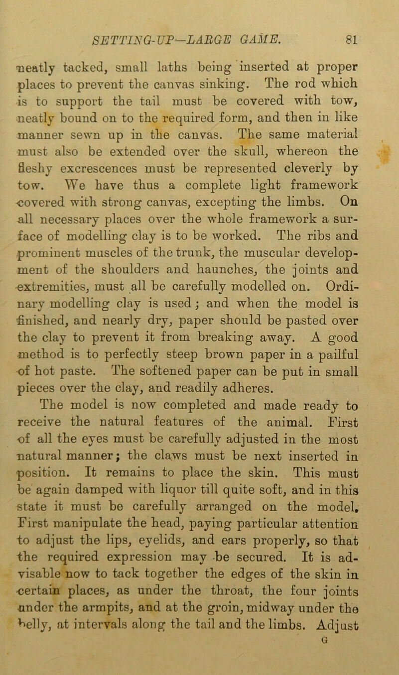neatly tacked, small laths being inserted at proper places to prevent the canvas sinking. The rod which is to support the tail must be covered with tow, neatly bound on to the required form, and then in like manner sewn up in the canvas. The same material must also be extended over the skull, whereon the fleshy excrescences must be represented cleverly by tow. We have thus a complete light framework covered with strong canvas, excepting the limbs. On all necessary places over the whole framework a sur- face of modelling clay is to be worked. The ribs and prominent muscles of the trunk, the muscular develop- ment of the shoulders and haunches, the joints and extremities, must all be carefully modelled on. Ordi- nary modelling clay is used; and when the model is finished, and nearly dry, paper should be pasted over the clay to prevent it from breaking away. A good method is to perfectly steep brown paper in a pailful of hot paste. The softened paper can be put in small pieces over the clay, and readily adheres. The model is now completed and made ready to receive the natural features of the animal. First of all the eyes must be carefully adjusted in the most natural manner; the claws must be next inserted in position. It remains to place the skin. This must be again damped with liquor till quite soft, and in this state it must be carefully arranged on the model. First manipulate the head, paying particular attention, to adjust the lips, eyelids, and ears properly, so that the required expression may be secured. It is ad- visable now to tack together the edges of the skin in certain places, as under the throat, the four joints under the armpits, and at the groin, midway under the belly, at intervals along the tail and the limbs. Adjust