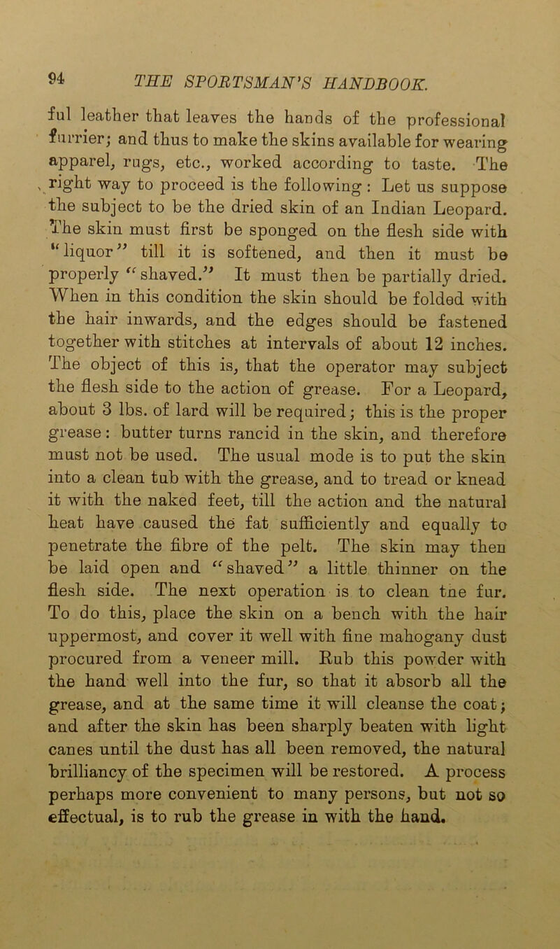 ful leather that leaves the hands of the professional farrier; and thus to make the skins available for wearing apparel, rugs, etc., worked according to taste. The . right way to proceed is the following: Let us suppose the subject to be the dried skin of an Indian Leopard. The skin must first be sponged on the flesh side with “ liquor ” till it is softened, and then it must be properly “ shaved.” It must then be partially dried. When in this condition the skin should be folded with the hair inwards, and the edges should be fastened together with stitches at intervals of about 12 inches. The object of this is, that the operator may subject the flesh side to the action of grease. For a Leopard, about 3 lbs. of lard will be required; this is the proper grease: butter turns rancid in the skin, and therefore must not be used. The usual mode is to put the skin into a clean tub with the grease, and to tread or knead it with the naked feet, till the action and the natural heat have caused the fat sufficiently and equally to penetrate the fibre of the pelt. The skin may then be laid open and “ shaved ” a little thinner on the flesh side. The next operation is to clean tne fur. To do this, place the skin on a bench with the hair uppermost, and cover it well with fine mahogany dust procured from a veneer mill. Rub this powder with the hand well into the fur, so that it absorb all the grease, and at the same time it will cleanse the coat; and after the skin has been sharply beaten with light canes until the dust has all been removed, the natural brilliancy of the specimen will be restored. A process perhaps more convenient to many persons, but not so effectual, is to rub the grease in with the hand.