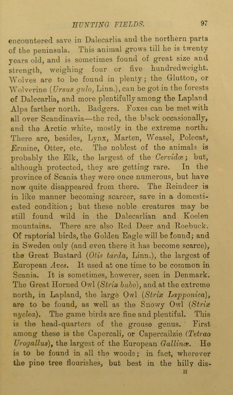 encountered save in Dalecarlia and the northern parts of the peninsula. This animal grows till he is twenty years old, and is sometimes found of great size and strength, weighing four or five hundredweight. Wolves are to be found in plenty; the Glutton, or Wolverine (Ursus c/ido, Linn.), can be got in the forests of Dalecarlia, and more plentifully among the Lapland Alps farther north. Badgers. Foxes can be met with all over Scandinavia—the red, the black occasionally, and the Arctic white, mostly in the extreme north. There are, besides, Lynx, Marten, Weasel, Polecat, .Ermine, Otter, etc. The noblest of the animals is probably the Elk, the largest of the Cervidce; but, although protected, they are getting rare. In the province of Scania they were once numerous, but have now quite disappeared from there. The Reindeer is in like manner becoming scarcer, save in a domesti- cated condition; but these noble creatures may be still found wild in the Dalecarlian and Koelen mountains. There are also Red Deer and Roebuck. Of raptorial birds, the Golden Eagle will be found; and in Sweden only (and even there it has become scarce), the Great Bustard (Otis tarda, Linn.), the largest of European Aves. It used at one time to be common in Scania. It is sometimes, however, seen in Denmark. The Great Horned Owl (Strive bubo), and at the extreme north, in Lapland, the large Owl (Strix Lapponica), are to be found, as well as the Snowy Owl (Strix nyclea). The game birds are fine and plentiful. This is the head-quarters of the grouse genus. First among these is the Capercali, or Capercailzie (Tetrao Urogallus), the largest of the European Gallince. He is to be found in all the woods; in fact, wherever the pine tree flourishes, but best in the hilly dis- H