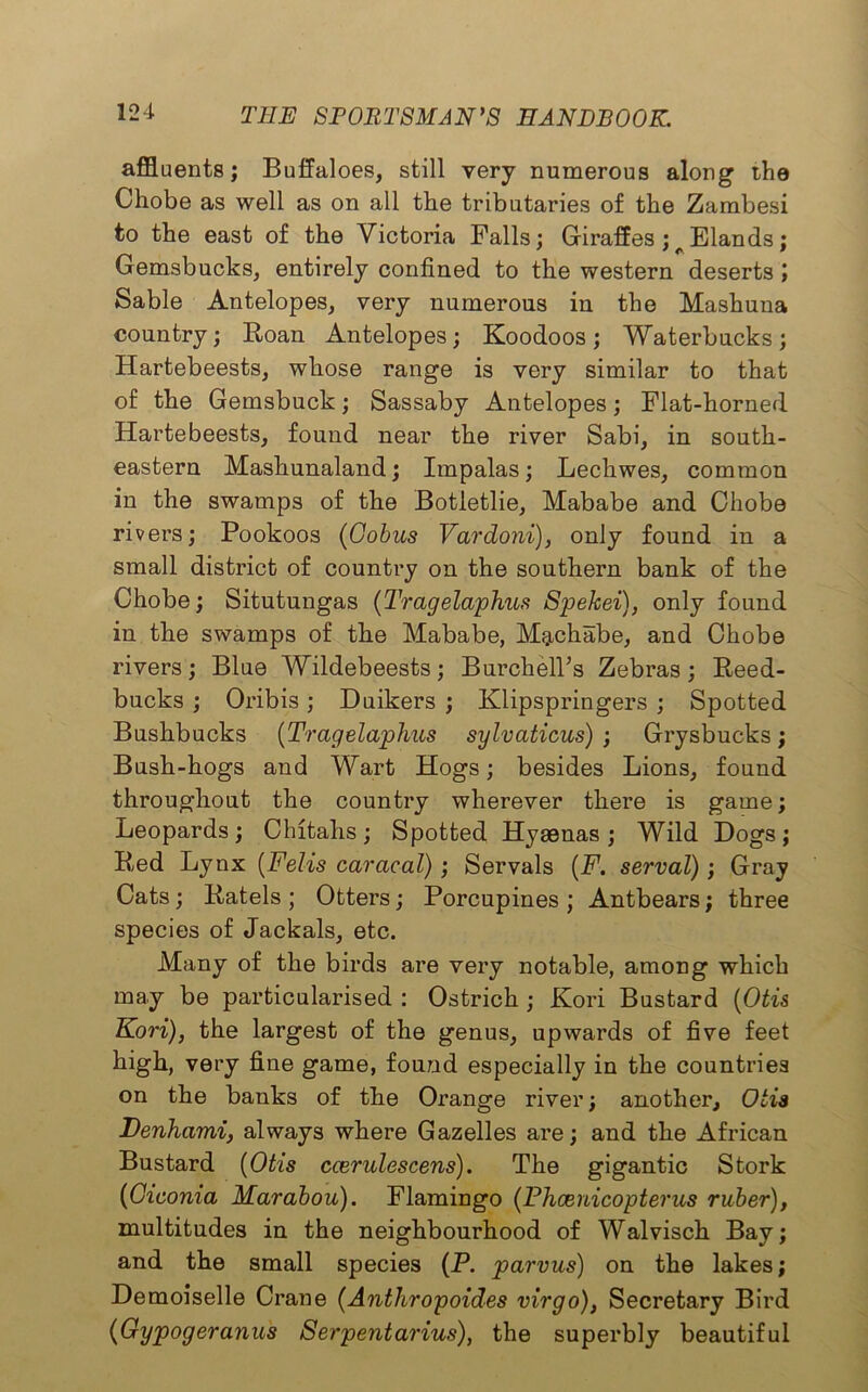 affluents; Buffaloes, still very numerous along the Chobe as well as on all the tributaries of the Zambesi to the east of the Victoria Falls; Giraffes ; Blands; Gemsbucks, entirely confined to the western deserts ; Sable Antelopes, very numerous in the Mashuna country; Roan Antelopes; Koodoos; Waterbucks; Hartebeests, whose range is very similar to that of the Gemsbuck; Sassaby Antelopes; Flat-horned Hartebeests, found near the river Sabi, in south- eastern Mashunaland; Impalas; Lechwes, common in the swamps of the Botletlie, Mababe and Chobe rivers; Pookoos (Cobus Vardoni), only found in a small district of country on the southern bank of the Chobe; Situtungas (Tragelaphus Spekei), only found in the swamps of the Mababe, M^chabe, and Chobe rivers; Blue Wildebeests; Burch elks Zebras; Reed- bucks ; Oribis; Duikers ; Klipspringers ; Spotted Bushbucks (Tragelaphus sylvaticus) ; Grysbucks; Bush-hogs and Wart Hogs; besides Lions, found throughout the country wherever there is game; Leopards; Chitalis; Spotted Hyaenas; Wild Dogs; Red Lynx (Felis caracal); Servals (F. serval); Gray Cats; Ratels ; Otters; Porcupines ; Antbears; three species of Jackals, etc. Many of the birds are very notable, among which may be particularised : Ostrich ; Kori Bustard (Otis Kori), the largest of the genus, upwards of five feet high, very fine game, found especially in the countries on the banks of the Orange river; another, Otis Denhami, always where Gazelles are; and the African Bustard (Otis ccerulescens). The gigantic Stork (Giconia Marabou). Flamingo (Phcenicopterus ruber), multitudes in the neighbourhood of Walvisch Bay; and the small species (P. parvus) on the lakes; Demoiselle Crane (Anthropoides virgo), Secretary Bird (Gypogeranus Serpentarius), the superbly beautiful