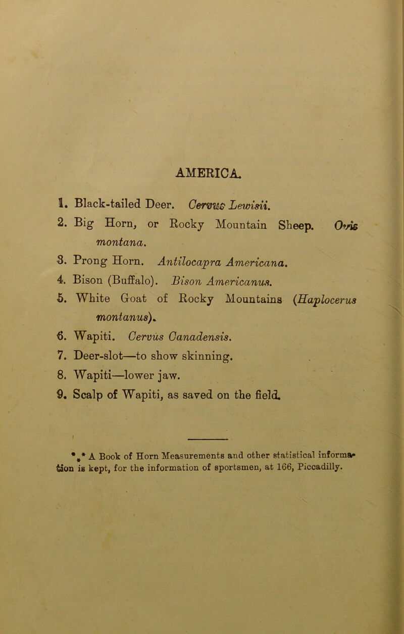 AMERICA. 1. Black-tailed Deer. Cermta Lewisii. 2. Big Horn, or Rocky Mountain Sheep. Ovie montana. 3. Prong Horn. Antilocapra Americana. 4. Bison (Buffalo). Bison Americanus. <5. White Goat of Rocky Mountains (Haplocerus montanus). 6. Wapiti. Cervus Canadensis. 7. Deer-slot—to show skinning. 8. Wapiti—lower jaw. 9. Scalp of Wapiti, as saved on the field. • * A Book of Horn Measurements and other statistical informa* 4ion is kept, for the information of sportsmen, at 166, Piccadilly.