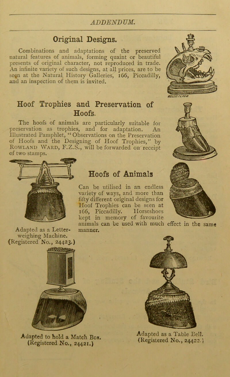 Original Designs. Combinations and adaptations of the preserved natural features of animals, forming quaint or beautiful presents of original character, not reproduced in trade. An infinite variety of such designs, at all prices, are to be se^n at the Natural History Galleries, 166, Piccadilly, and an inspection of them is invited. Hoof Trophies and Preservation of Hoofs. The hoofs of animals are particularly suitable for preservation as trophies, and for adaptation. An illustrated Pamphlet, “ Observations on the Preservation of Hoofs and the Designing of Hoof Trophies,” by Rowland Ward, F.Z.S., will be forwarded on receipt of two stamps. Hoofs of Animals Can be utilised in an endless variety of ways, and more than fifty different original designs for Ploof Trophies can be seen at 166, Piccadilly. Horseshoes kept in memory of favoutite animals can be used with much effect in the same Adapted as a Letter- manner, weighing Machine. (Registered No., 24423.) Adapted to hold a Match Box. (Registered No., 24421.) Adapted as a Table Bell. (Registered No., 24422.’,