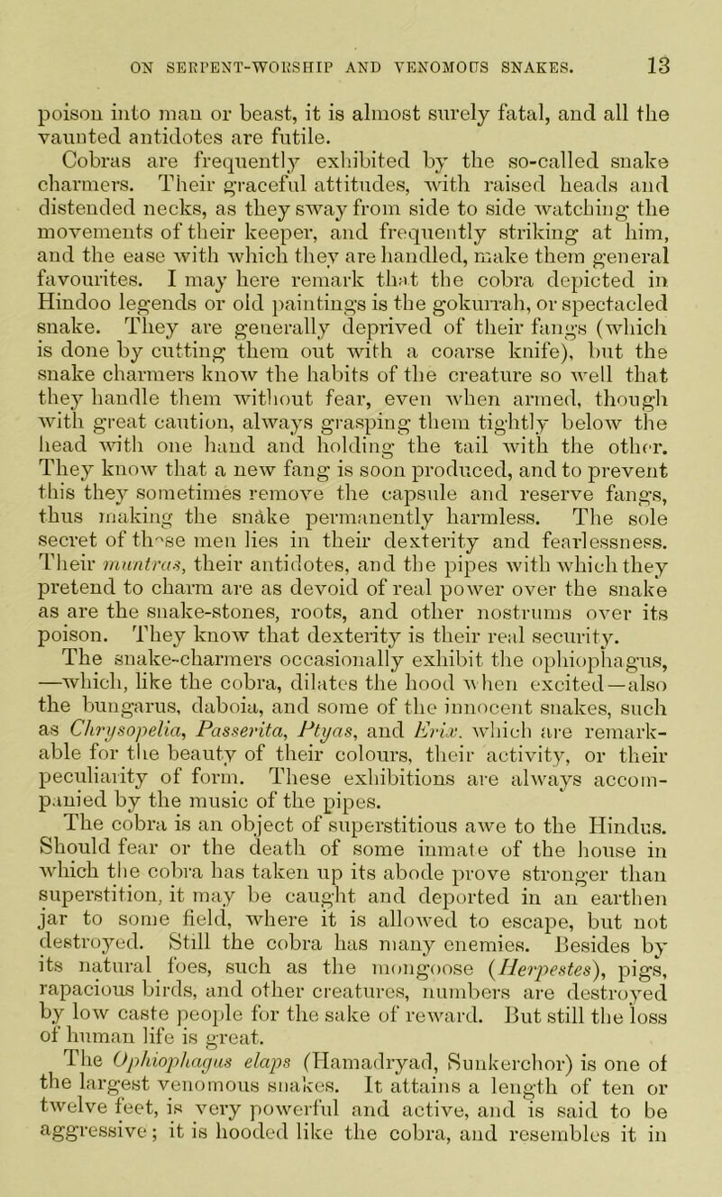 poisou into man or beast, it is almost surely fatal, and all the vaunted antidotes are futile. Cobras are frequently exliibited by the so-called snake charmers. Their g-raceful attitudes, with raised heads and distended necks, as they sway from side to side Avatching the movements of their keeper, and frequently striking at him, and the ease with which they are handled, make them general favourites. I may here remark that the cobra depicted in Hindoo legends or old j^aintings is the gokiuTah, or spectacled snake. They are generally depiaved of tlieir fangs (which is done by cutting them out Avith a coarse knife), but the snake charmers knoAv the habits of the creature so AA-ell that they handle them without fear, even Avhen armed, though Avith great caution, ahvays grasping them tightly beloAV the head AAutli one hand and holding the tail Avith the other. They knoAV that a neAv fang is soon produced, and to prevent this they sometimes reraoAm the capsule and reserve fangs, thus makijig the snake permanently harmless. The sole secret of th'^se men lies in their dexterity and fearlessness. Their mantras, their antidotes, and the pipes Avith Avhich they pretend to charm are as devoid of real poAver over the snake as are the snake-stones, roots, and other nostrums OAmr its poison. They knoAv that dexterity is their real security. The snake-charmers occasionally exhibit tlie ophiophagus, —which, like the cobra, dilates the hood Avhen excited —also the bungarus, daboia, and some of the innocent snakes, such as Chrysopelia, Passerita, Ptyas, and Erix. AAdiich ai'e remark- able for the beauty of their colours, their activity, or their peculiarity of form. These exhibitions are ahvays accom- panied by the music of the pipes. The cobra is an object of superstitious aAve to the Hindus. Should fear or the death of some inmate of the house in Avhich the cobi-a has taken up its abode prove stronger than superstition, it may be caught and deported in an earthen jar to some field, where it is alloAved to escape, but not destroyed. Still the cobra has many enemies. Besides by its natural foes, such as the mongoose (^Iierpestes\ pigs, rapacious birds, and other creatures, numbers are destroyed by loAv caste people for the sake of reAAarrd. But still the loss of human life is great. The Ophiophayas daps (Hamadryad, Sunkerchor) is one of the largest venomous snakes. It attains a length of ten or tAvelve feet, is very poAverful and active, and is said to be aggressive; it is hooded like the cobra, and resembles it in