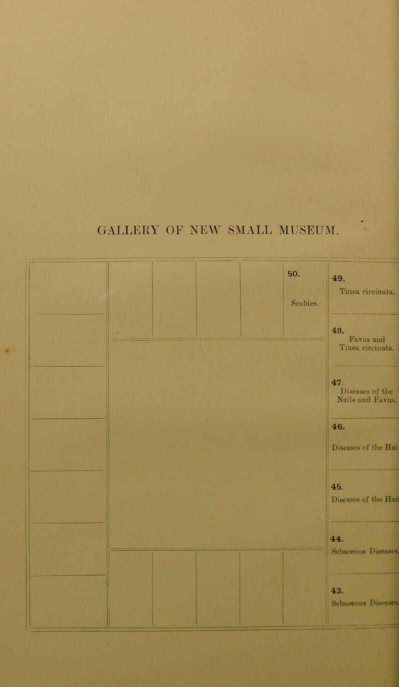 GALLERY OF NEW SMALL MUSEUM. 50. i j Scabies. ! 1 1 ■> 1 1 t V - i * 1 ■ ~ fw' - i 1 49. Tinea circinata. 48. Favus and Tinea ciivinata. 47. Diseases of the Nails and Favus. 46. Diseases of the Haii 45. Diseases of the llaii 44. Sebaceous Diseases. 43. I Sebaceous Disca.ses.