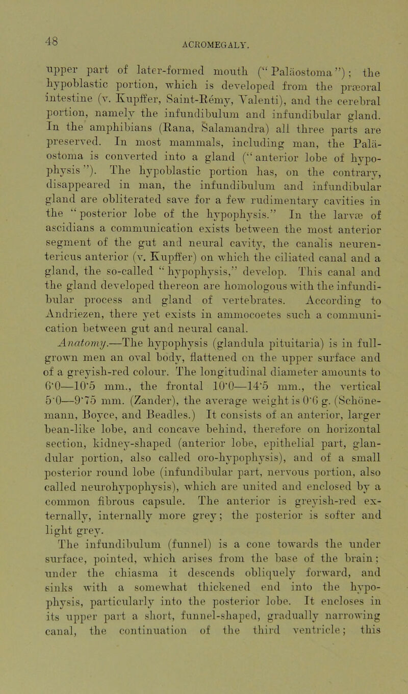 ACROMEGALY. upper part of later-formed mouth Paliiostoma ”); the hj( pohlastic portion, which is developed from the priBoral intestine (v. Ivupfter, vSaint-Eeniy, ^ alenti), and the cerebral portion, namely the infundibulum and infundibular gland. In the amphibians (Rana, ^alamandra) all three parts are preserved. In anost mammals, including man, the Palii- ostoma is converted into a gland (“anterior lobe of hypo- physis ). I he hypoblastic portion has, on the contrarv, disappeared in man, the infaindibaaluiai and infundibular gland are obliterated save for a few rudimentary cavities in the “ posterior lobe of the hypophysis.” In the larvte of ascidians a communication exists between the most anterior segment of the gut and neural cavity, the canalis neuren- tericus anterior (v. Kuptfer) on which the ciliated canal and a gland, the so-called “ hypophysis,” develop. This canal and the gland developed thereon are homologous with the infundi- bular process and gland of vertebrates. According to Andriezen, there yet exists in ammocoetes such a communi- cation between gut and neural canal. Anatomy.—The hypophysis (glandula pituitaria) is in full- grown men an oval body, flattened on the upper surface and of a greyish-red colour. The longitudinal diameter amounts to G‘0—10‘o mm., the frontal lO'O—14‘5 mm., the vertical 5’0—9‘75 mm. (Zander), the average weight is 0‘G g. (Schbne- mann, Boyce, and Beadles.) It consists of an anterior, larger bean-like lobe, and concave behind, therefore on horizontal section, kidney-shaped (anterior lobe, epithelial part, glan- dular portion, also called oro-hypophysis), and of a small posterior round lobe (infundibular part, nervous portion, also called neurohypophysis), which are xinited and enclosed by a common fibrous capsule. The anterior is greyish-red ex- ternally, internally more grey; the posterior is softer and light grey. The infundibulum (funnel) is a cone towards the under surface, pointed, which arises from the base of the brain; under the chiasma it descends obliquely forward, and sinks with a somewhat thickened end into the hyjDO- physis, particxdarly into the posterior lobe. It encloses in its upper part a short, funnel-shaped, gradually narrowing canal, the continuation of tlie third ventricle; this