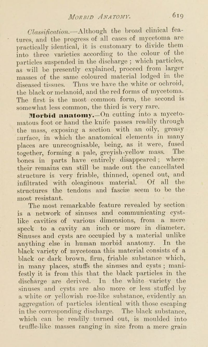 Classification.—Although the broad clinical fea- tures, and the progress of all cases of mycetoma ai e practically identical, it is customary to divide them into three varieties according to the colour of the particles suspended in the discharge ; which particles, as will be presently explained, proceed from larger masses of the same coloured material lodged in the diseased tissues. Thus we have the white or ochroid, the black or melanoid, and the red forms of mycetoma. The first is the most common form, the second is somewhat less common, the third is very rare. Morbid anatomy.—On cutting into a myceto- matous foot or hand the knife passes readily through the mass, exposing a section with an oily, greasy surface, in which the anatomical elements in many places are unrecognisable, being, as it were, fused together, forming a pale, greyish-yellow mass. The bones in parts have entirely disappeared; where their remains can still be made out the cancellated structure is very friable, thinned, opened out, and infiltrated with oleaginous material. Of all the structures the tendons and fascia seem to be the most resistant. The most remarkable feature revealed by section is a network of sinuses and communicating cyst- like cavities of various dimensions, from a mere speck to a cavity an inch or more in diameter. Sinuses and cysts are occupied by a material unlike anything else in human morbid anatomy. In the black variety of mycetoma this material consists of a black or dark brown, firm, friable substance which, in many places, stuffs the sinuses and cysts ; mani- festly it is from this that the black particles in the discharge are derived. In the white variety the sinuses and cysts are also more or less stuffed by a white or yellowish roe-like substance, evidently an aggregation of particles identical with those escaping in the corresponding discharge. The black substance, which can be readily turned out, is moulded into truffle-like masses ranging in size from a mere grain
