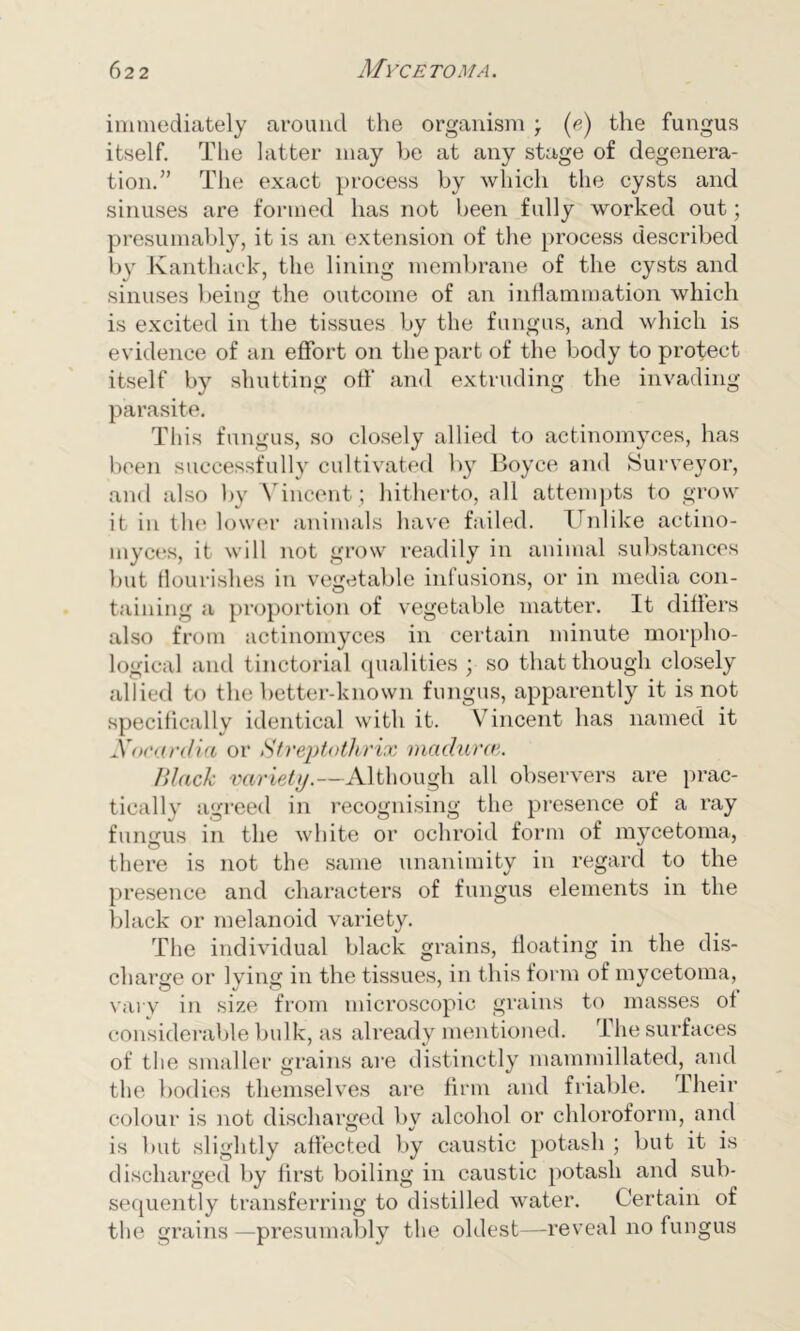 immediately around the organism ; (e) the fungus itself. The latter may be at any stage of degenera- tion.” The exact process by which the cysts and sinuses are formed has not been fully worked out; presumably, it is an extension of the process described by Kanthack, the lining membrane of the cysts and sinuses being the outcome of an inflammation which is excited in the tissues by the fungus, and which is evidence of an effort on the part of the body to protect itself by shutting off and extruding the invading parasite. This fungus, so closely allied to actinomyces, has been successfully cultivated by Boyce and Surveyor, and also by Vincent; hitherto, all attempts to grow it in the lower animals have failed. Unlike actino- myces, it will not grow readily in animal substances but flourishes in vegetable infusions, or in media con- taining a proportion of vegetable matter. It differs also from actinomyces in certain minute morpho- logical and tinctorial qualities ; so that though closely allied to the better-known fungus, apparently it is not specifically identical with it. Vincent has named it Xnear ilia, or Streptothrix maclurce. Black variety.—Although all observers are prac- tically agreed in recognising the presence of a ray fungus in the white or ochroid form of mycetoma, there is not the same unanimity in regard to the presence and characters of fungus elements in the black or melanoid variety. The individual black grains, floating in the dis- charge or lying in the tissues, in this form of mycetoma, vary in size from microscopic grains to masses of considerable bulk, as already mentioned. The surfaces of the smaller grains are distinctly mammillated, and the bodies themselves are firm and friable. Their colour is not discharged by alcohol or chloroform, and is but slightly affected by caustic potash ; but it is discharged by first boiling in caustic potash and sub- sequently transferring to distilled water. Certain of the grains —presumably the oldest—reveal no fungus