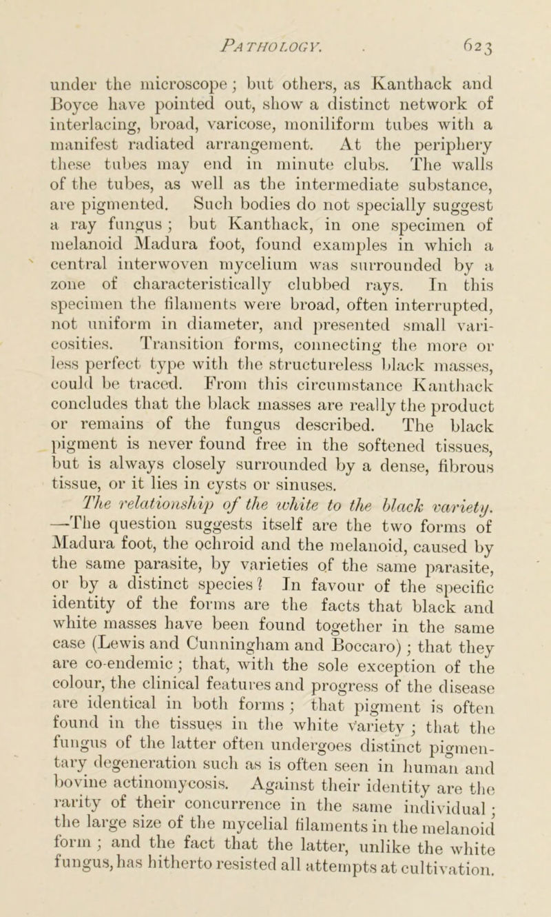 under the microscope; but others, as Kanthack and Boyce have pointed out, show a distinct network of interlacing, broad, varicose, moniliform tubes with a manifest radiated arrangement. At the periphery these tubes may end in minute clubs. The walls of the tubes, as well as the intermediate substance, are pigmented. Such bodies do not specially suggest a ray fungus ; but Kanthack, in one specimen of melanoid Madura foot, found examples in which a central interwoven mycelium was surrounded by a zone of characteristically clubbed rays. In this specimen the filaments were broad, often interrupted, not uniform in diameter, and presented small vari- cosities. Transition forms, connecting the more or less perfect type with the structureless black masses, could be traced. From this circumstance Kanthack concludes that the black masses are really the product or remains of the fungus described. The black pigment is never found free in the softened tissues, but is always closely surrounded by a dense, fibrous tissue, or it lies in cysts or sinuses. The relationship of the white to the black variety. —The question suggests itself are the two forms of Madura foot, the ochroid and the melanoid, caused by the same parasite, by varieties of the same parasite, or by a distinct species? In favour of the specific identity of the forms are the facts that black and white masses have been found together in the same case (Lewis and Cunningham and Boccaro); that they are co-endemic; that, with the sole exception of the colour, the clinical features and progress of the disease are identical in both forms ; that pigment is often found in the tissues in the white variety ; that the fungus of the latter often undergoes distinct pigmen- tary degeneration such as is often seen in human and bovine actinomycosis. Against their identity are the rarity of their concurrence in the same individual; the large size of the mycelial filaments in the melanoid form ; and the fact that the latter, unlike the white 1 ungus, has hitherto 1 esisted all attempts at cultivation.