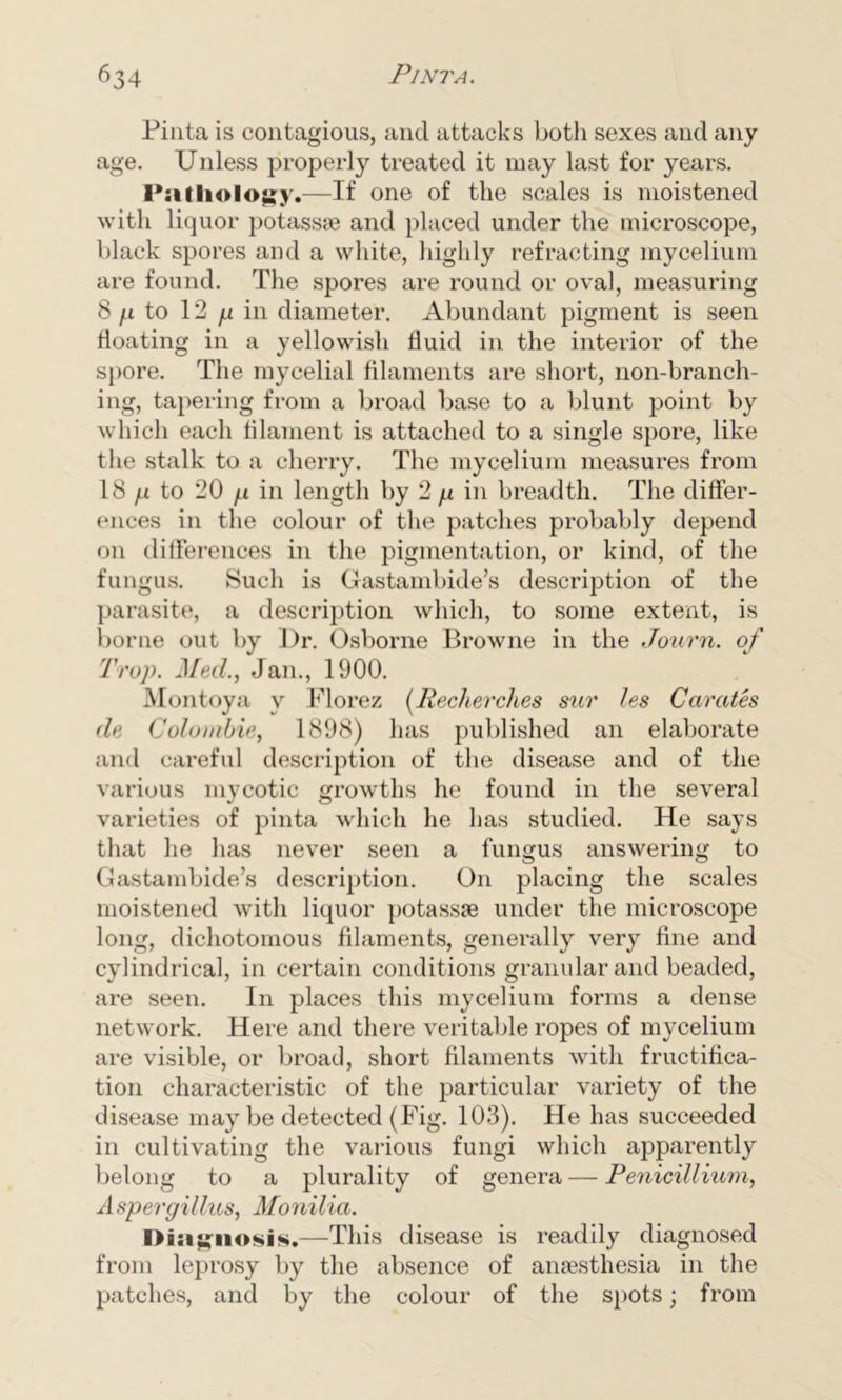 Pinta is contagious, and attacks both sexes and any age. Unless properly treated it may last for years. Pathology.—If one of the scales is moistened with liquor potassse and placed under the microscope, black spores and a white, Highly refracting mycelium are found. The spores are round or oval, measuring 8 g to 12 n in diameter. Abundant pigment is seen floating in a yellowish fluid in the interior of the spore. The mycelial filaments are short, non-branch- ing, tapering from a broad base to a blunt point by which each filament is attached to a single spore, like the stalk to a cherry. The mycelium measures from 18 n to 20 f.i in length by 2 p in breadth. The differ- ences in the colour of the patches probably depend on differences in the pigmentation, or kind, of the fungus. Such is Gastambide’s description of the parasite, a description which, to some extent, is borne out by Dr. Osborne Browne in the Journ. of Trap. Med., Jan., 1900. Montoya y Florez (Recherches sur les Carates de Colombie, 1898) has published an elaborate and careful description of the disease and of the various mycotic growths he found in the several varieties of pinta which he has studied. He says that he has never seen a fungus answering to Gastambide’s description. On placing the scales moistened with liquor potassse under the microscope long, dichotomous filaments, generally very fine and cylindrical, in certain conditions granular and beaded, are seen. In places this mycelium forms a dense network. Here and there veritable ropes of mycelium are visible, or broad, short filaments with fructifica- tion characteristic of the particular variety of the disease maybe detected (Fig. 103). He has succeeded in cultivating the various fungi which apparently belong to a plurality of genera — Penicillium, Aspergillus, Monilia. Diagnosis.—This disease is readily diagnosed from leprosy by the absence of anaesthesia in the patches, and by the colour of the spots; from