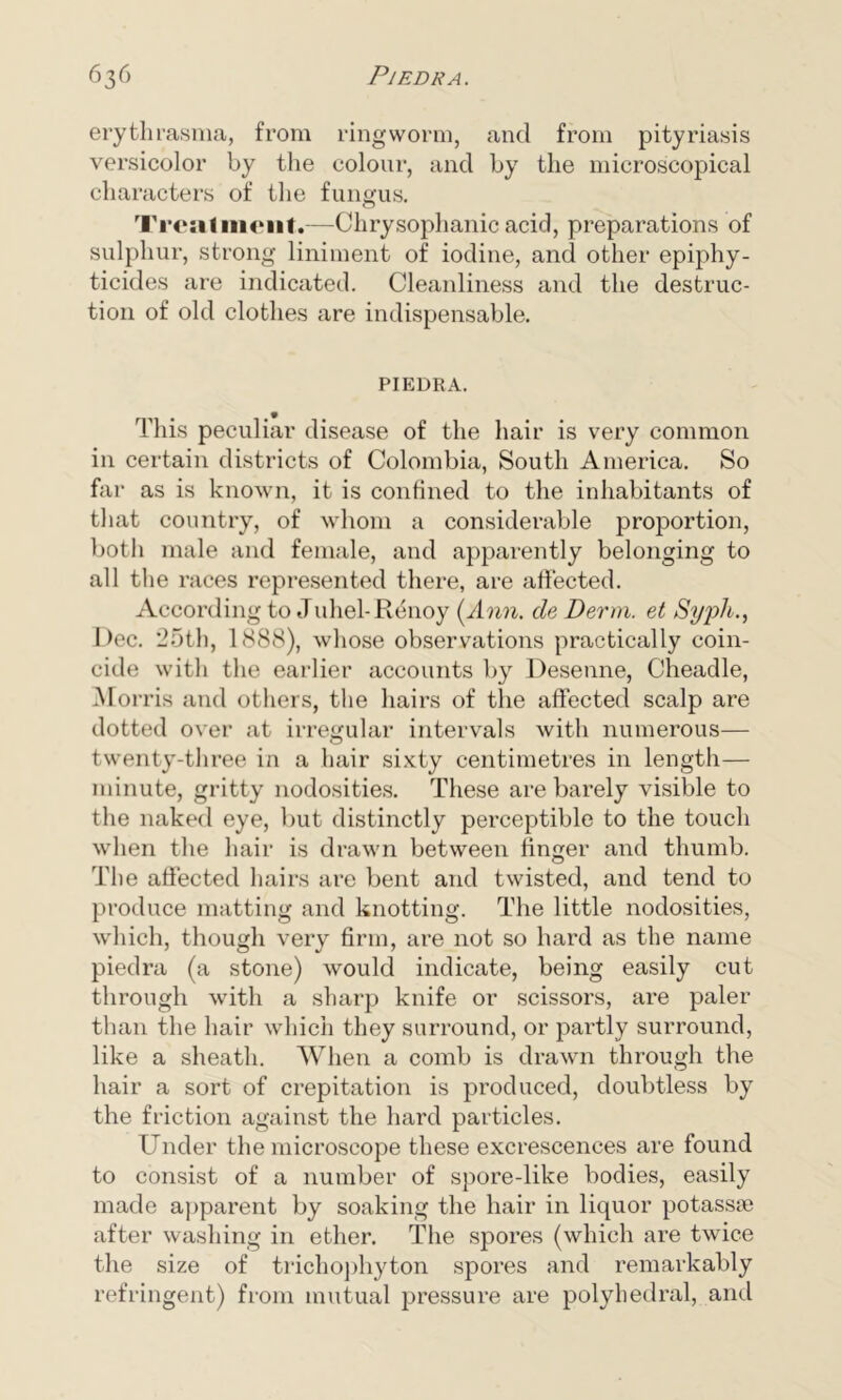 erythrasma, from ringworm, and from pityriasis versicolor by the colour, and by the microscopical characters of the fungus. Treatment.—Chrysophanic acid, preparations of sulphur, strong liniment of iodine, and other epiphy- ticides are indicated. Cleanliness and the destruc- tion of old clothes are indispensable. PIEDRA. This peculiar disease of the hair is very common in certain districts of Colombia, South America. So far as is known, it is confined to the inhabitants of that country, of whom a considerable proportion, both male and female, and apparently belonging to all the races represented there, are affected. According to Juhel-Renoy (Ann. cle Derm, et Syph., Dec. 25th, 1888), whose observations practically coin- cide with the earlier accounts by Desenne, Cheadle, Morris and others, the hairs of the affected scalp are dotted over at irregular intervals with numerous— twenty-three in a hair sixty centimetres in length— minute, gritty nodosities. These are barely visible to the naked eye, but distinctly perceptible to the touch when the hair is drawn between finger and thumb. The affected hairs are bent and twisted, and tend to produce matting and knotting. The little nodosities, which, though very firm, are not so hard as the name piedra (a stone) would indicate, being easily cut through with a sharp knife or scissors, are paler than the hair which they surround, or partly surround, like a sheath. When a comb is drawn through the hair a sort of crepitation is produced, doubtless by the friction against the hard particles. Under the microscope these excrescences are found to consist of a number of spore-like bodies, easily made apparent by soaking the hair in liquor potassse after washing in ether. The spores (which are twice the size of trichophyton spores and remarkably refringent) from mutual pressure are polyhedral, and