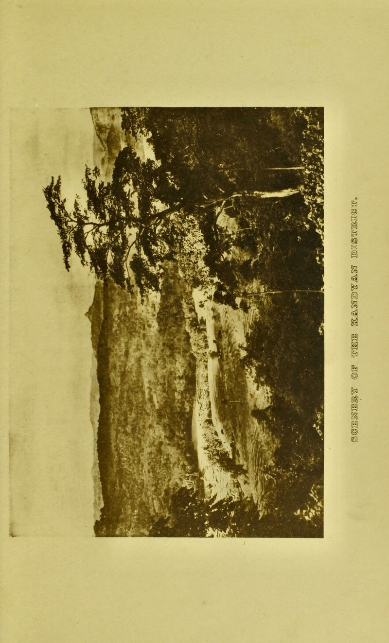 §©H3jniIE^ ®3F IK^SJID'S’ASS’ ®5CgS’: