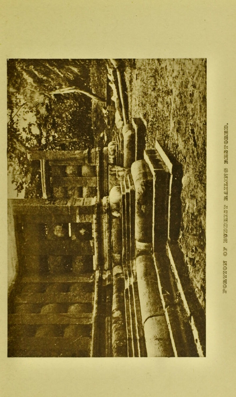 l?©IS^‘E©5Kr ©3* ISWlE)S3i251r' ISjS.EEjESg'© ®3Slir®5SIlIEi,