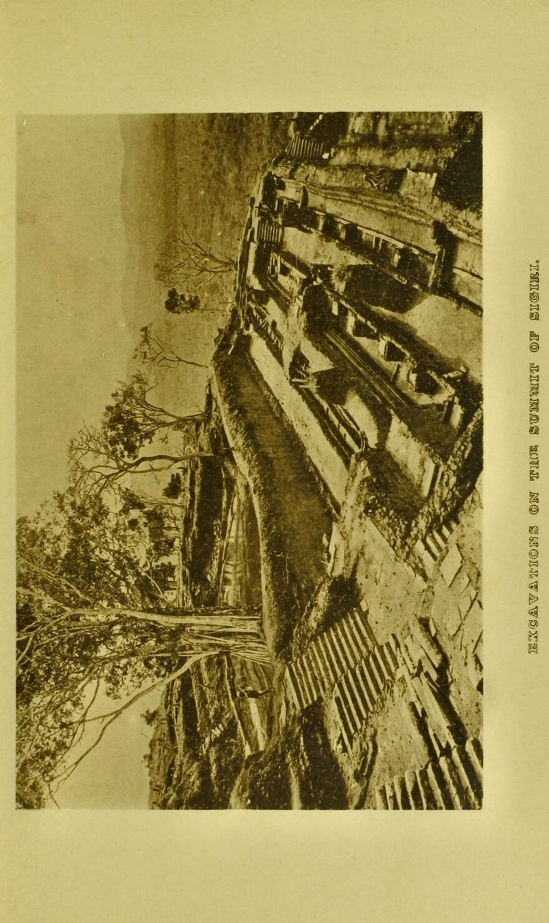 wiicjs ©if gn©ms2,