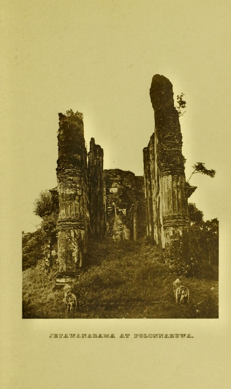 ^IP IFOICsOSJM^IE'SrWA,