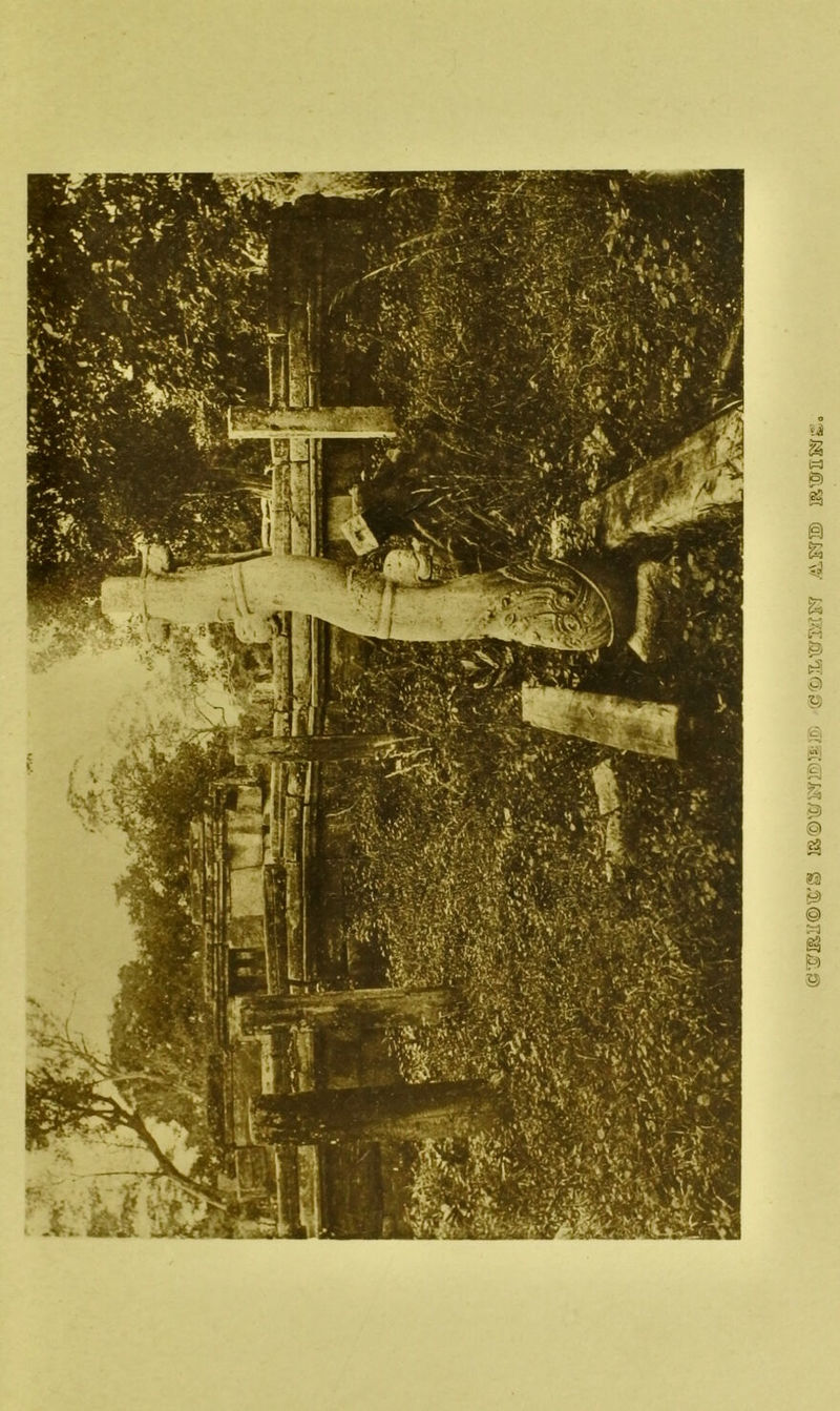 !a©\£/ii'^/5n):6',!ri, '.fitj.TL.tc/T/rs^r ./iLE?® Ba'^ss^s;