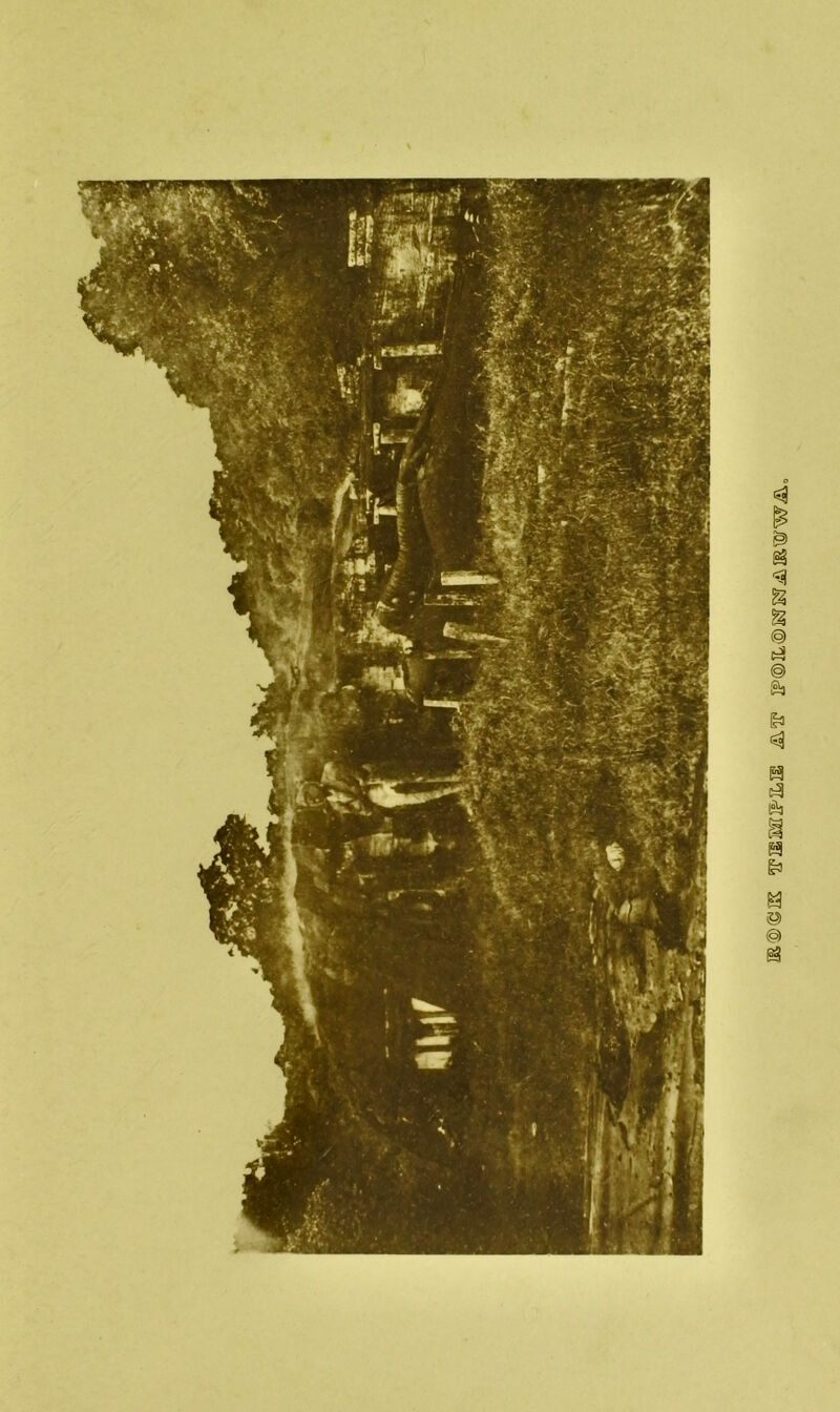 IE@(gIE 3?®IL®SS'3Ki’^®WWAo