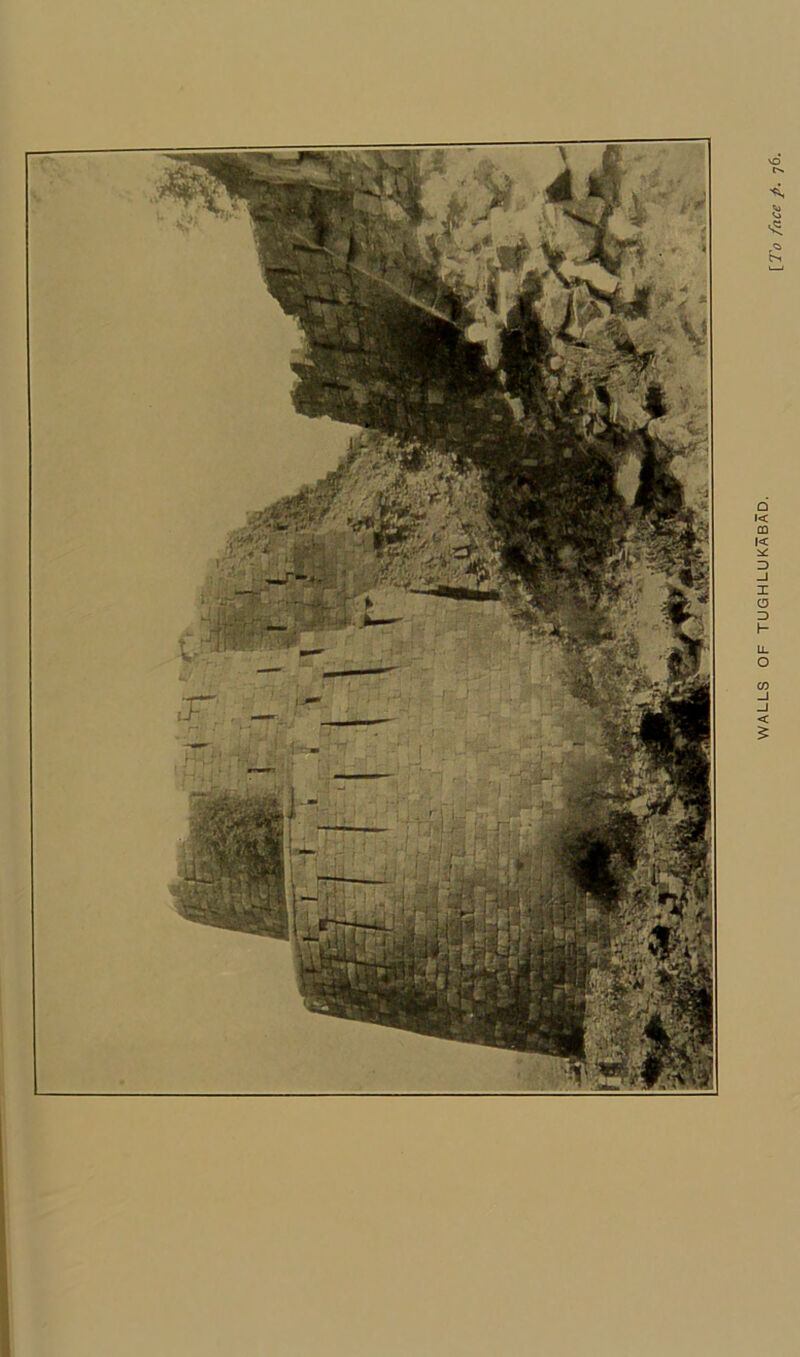 WALLS OF TUGHLUKABAD.