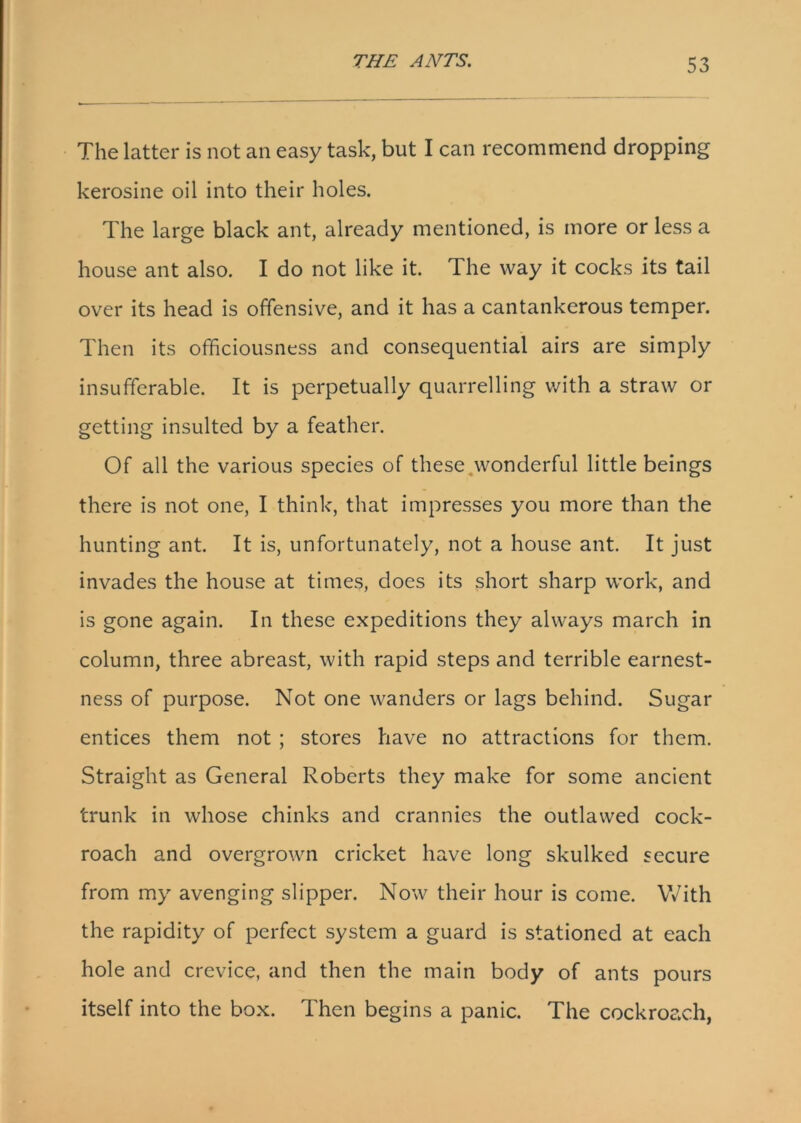 The latter is not an easy task, but I can recommend dropping kerosine oil into their holes. The large black ant, already mentioned, is more or less a house ant also. I do not like it. The way it cocks its tail over its head is offensive, and it has a cantankerous temper. Then its officiousness and consequential airs are simply insufferable. It is perpetually quarrelling with a straw or getting insulted by a feather. Of all the various species of these wonderful little beings there is not one, I think, that impresses you more than the hunting ant. It is, unfortunately, not a house ant. It just invades the house at times, does its short sharp work, and is gone again. In these expeditions they always march in column, three abreast, with rapid steps and terrible earnest- ness of purpose. Not one wanders or lags behind. Sugar entices them not ; stores have no attractions for them. Straight as General Roberts they make for some ancient trunk in whose chinks and crannies the outlawed cock- roach and overgrown cricket have long skulked secure from my avenging slipper. Now their hour is come. With the rapidity of perfect system a guard is stationed at each hole and crevice, and then the main body of ants pours itself into the box. Then begins a panic. The cockroach,