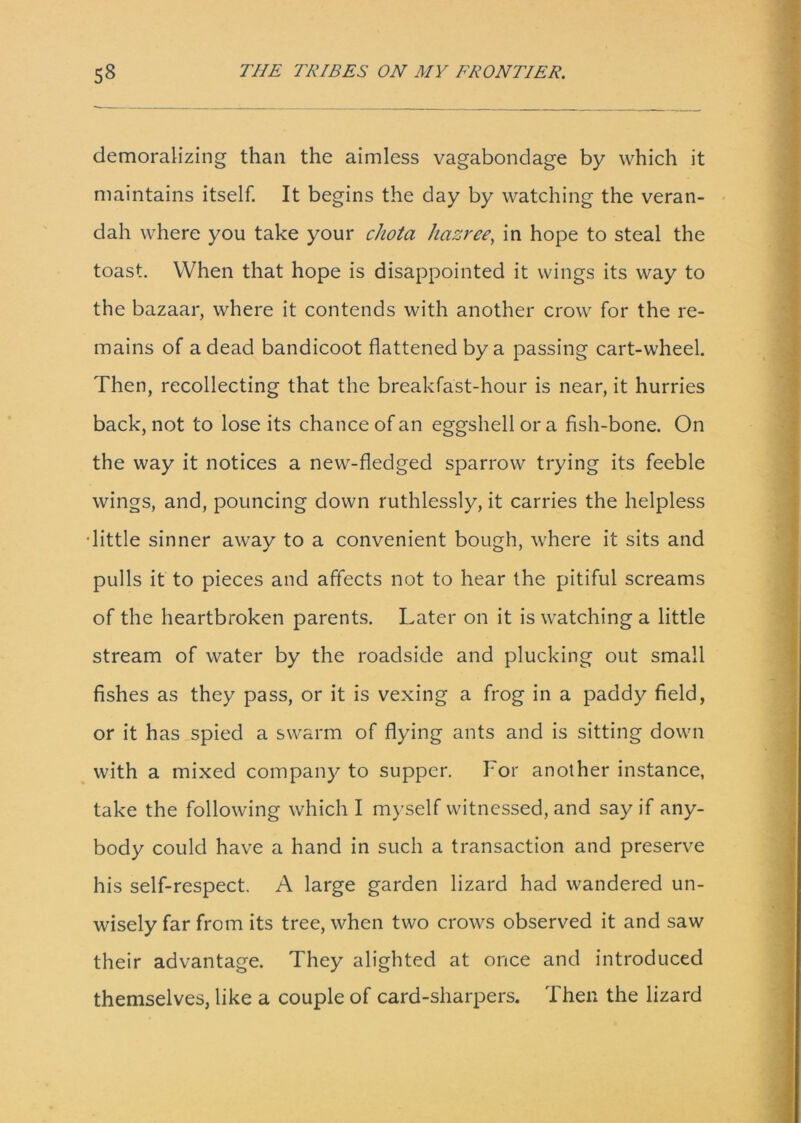 demoralizing than the aimless vagabondage by which it maintains itself. It begins the day by watching the veran- dah where you take your chota hazree, in hope to steal the toast. When that hope is disappointed it wings its way to the bazaar, where it contends with another crow for the re- mains of a dead bandicoot flattened by a passing cart-wheel. Then, recollecting that the breakfast-hour is near, it hurries back, not to lose its chance of an eggshell or a fish-bone. On the way it notices a new-fledged sparrow trying its feeble wings, and, pouncing down ruthlessly, it carries the helpless •little sinner away to a convenient bough, where it sits and pulls it to pieces and affects not to hear the pitiful screams of the heartbroken parents. Later on it is watching a little stream of water by the roadside and plucking out small fishes as they pass, or it is vexing a frog in a paddy field, or it has spied a swarm of flying ants and is sitting down with a mixed company to supper. For another instance, take the following which I myself witnessed, and say if any- body could have a hand in such a transaction and preserve his self-respect. A large garden lizard had wandered un- wisely far from its tree, when two crows observed it and saw their advantage. They alighted at once and introduced themselves, like a couple of card-sharpers. Then the lizard