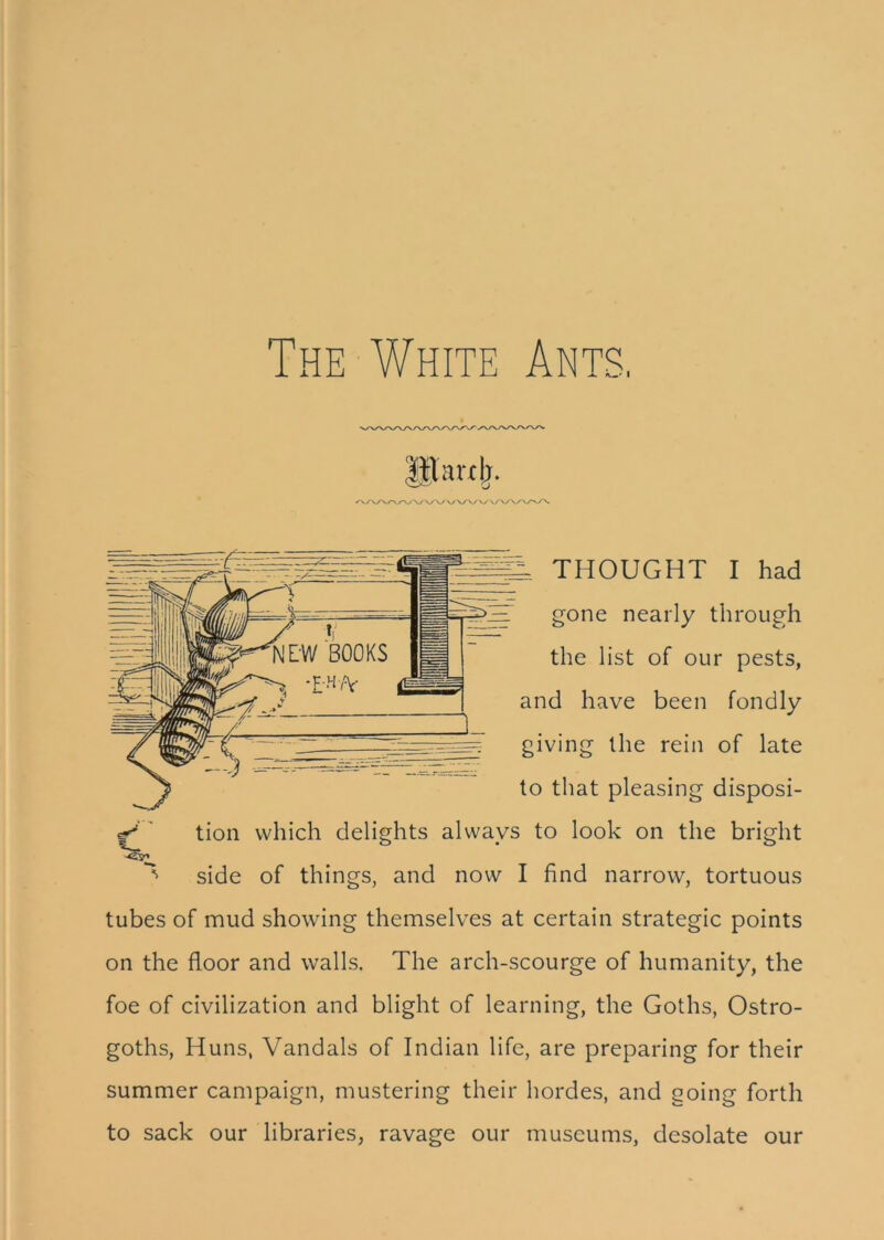 THOUGHT I had gone nearly through the list of our pests, have been fondly iving the rein of late to that pleasing disposi- tion which delights always to look on the bright side of things, and now I find narrow, tortuous tubes of mud showing themselves at certain strategic points on the floor and walls. The arch-scourge of humanity, the foe of civilization and blight of learning, the Goths, Ostro- goths, Huns, Vandals of Indian life, are preparing for their summer campaign, mustering their hordes, and going forth to sack our libraries, ravage our museums, desolate our