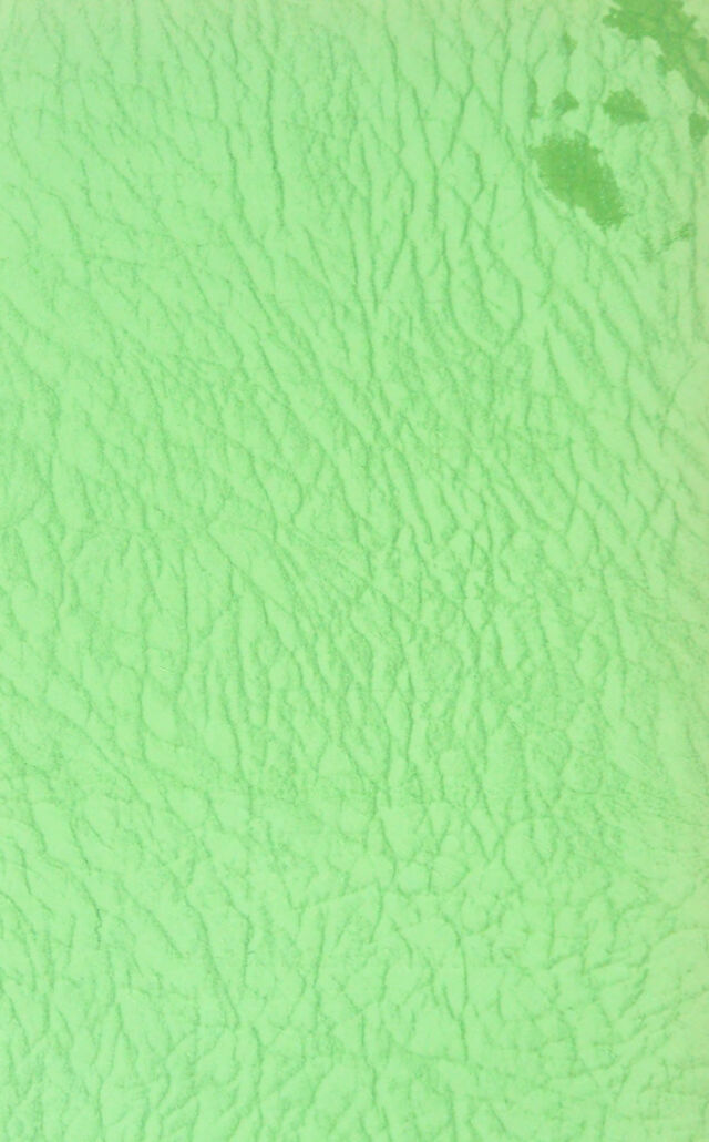 digitised image 2